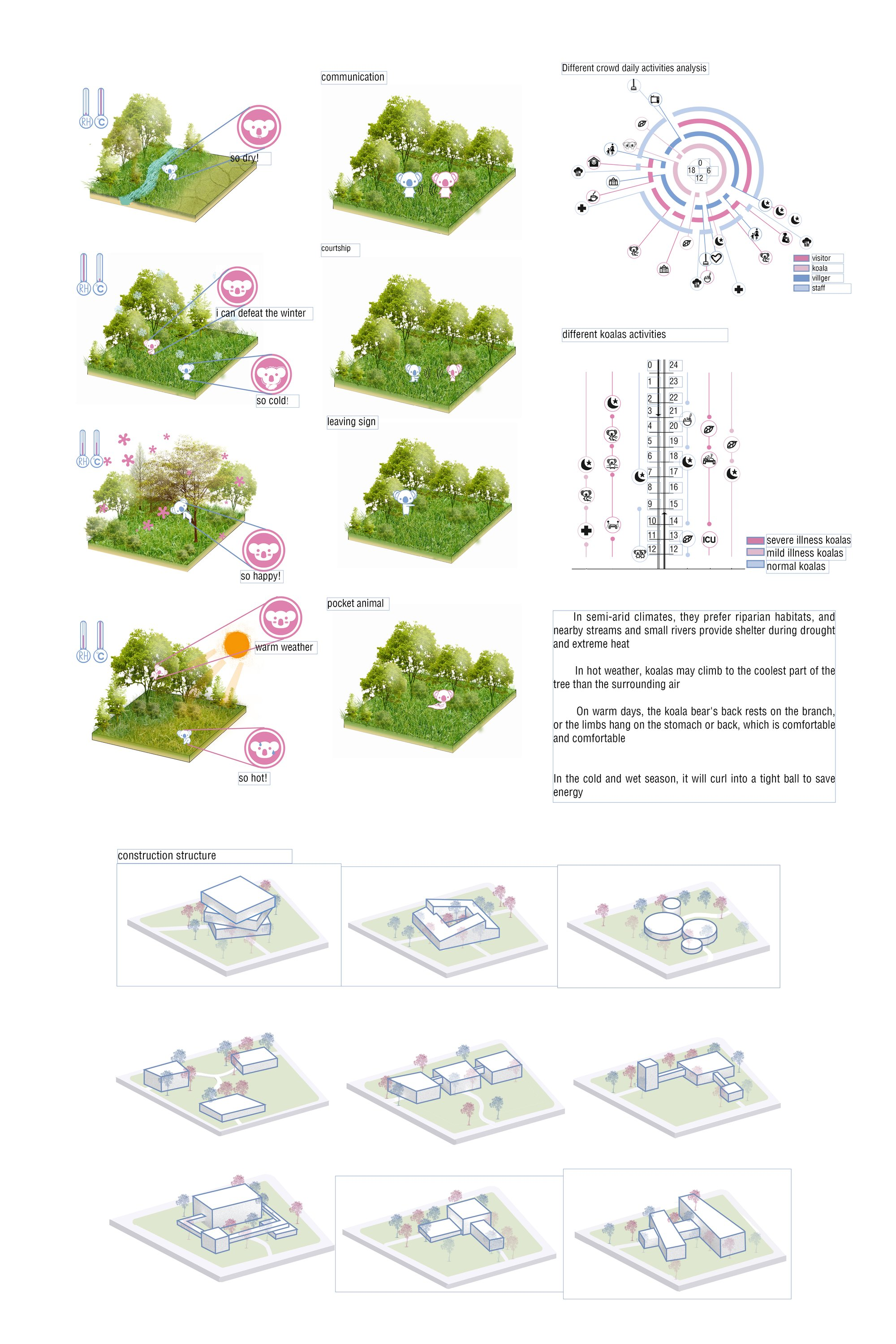 Behavioral analysis diagrams explore how architecture responds to koala movement, climate adaptation, and habitat interaction.
