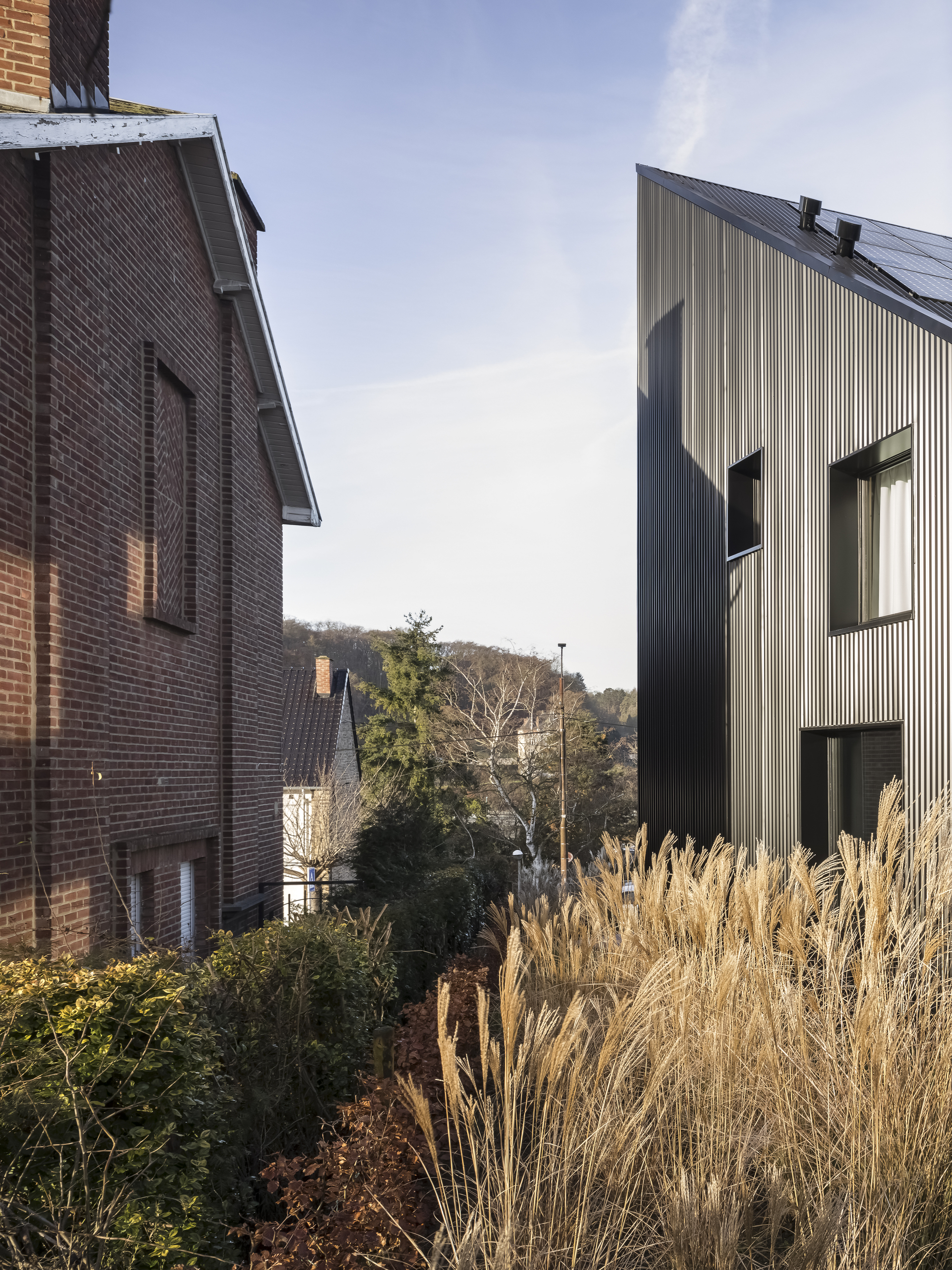 Rear view showing the vertical corrugated cladding beside a planted garden with ornamental grasses