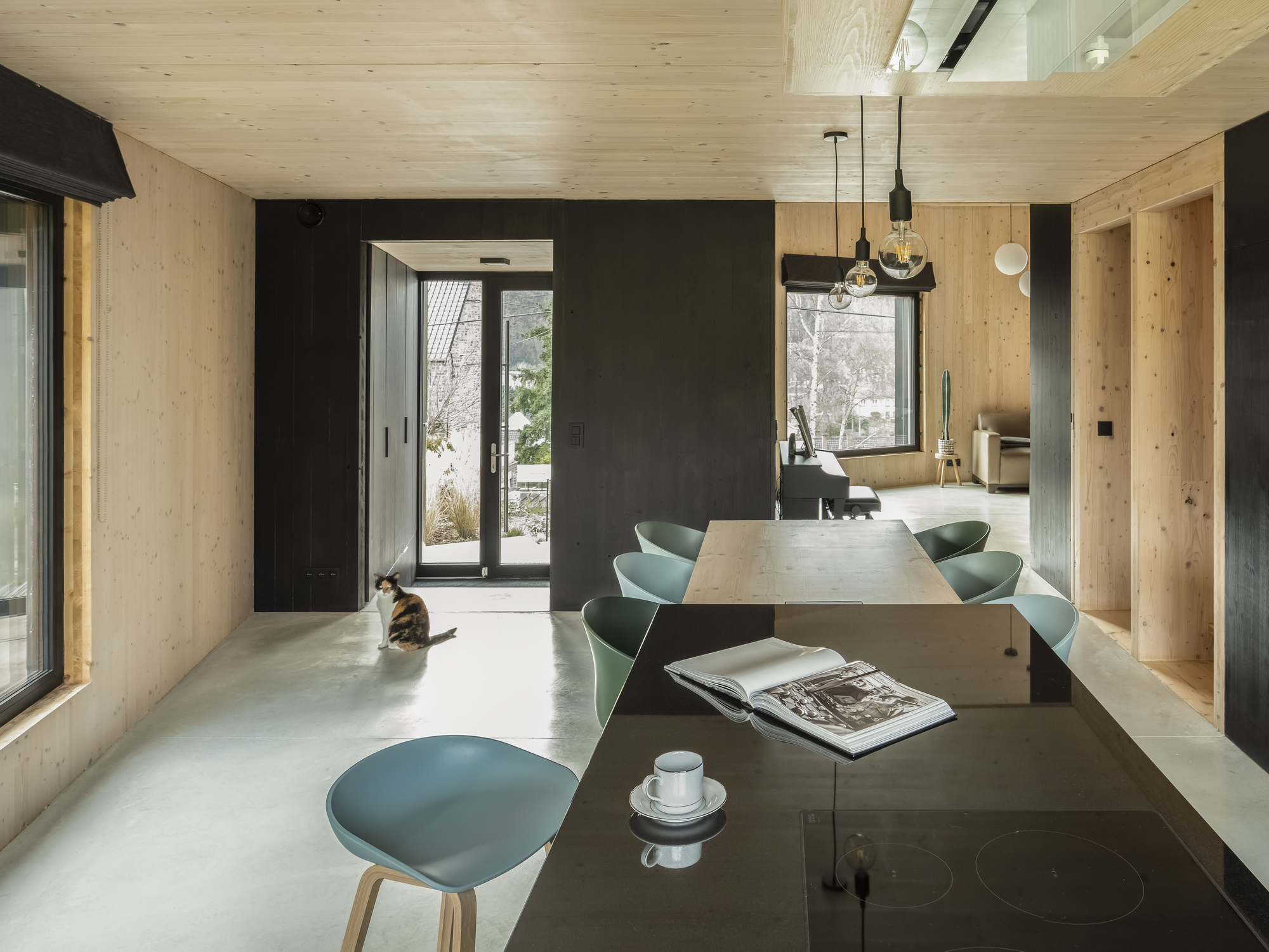 Dining and kitchen space with polished concrete floor and a cat sitting in winter sunlight
