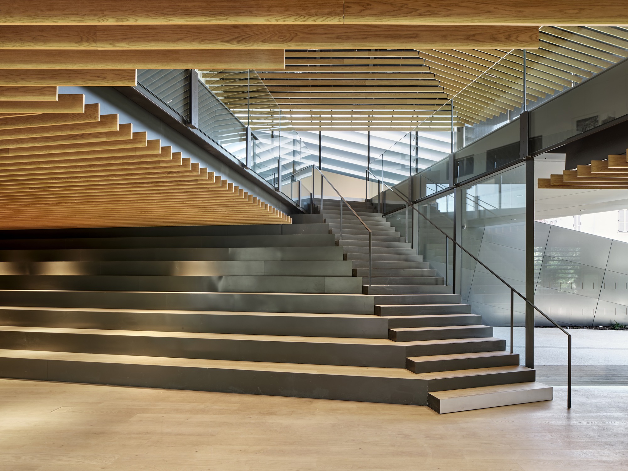 Wide timber and concrete staircase with glass balustrade and exposed wood ceiling above