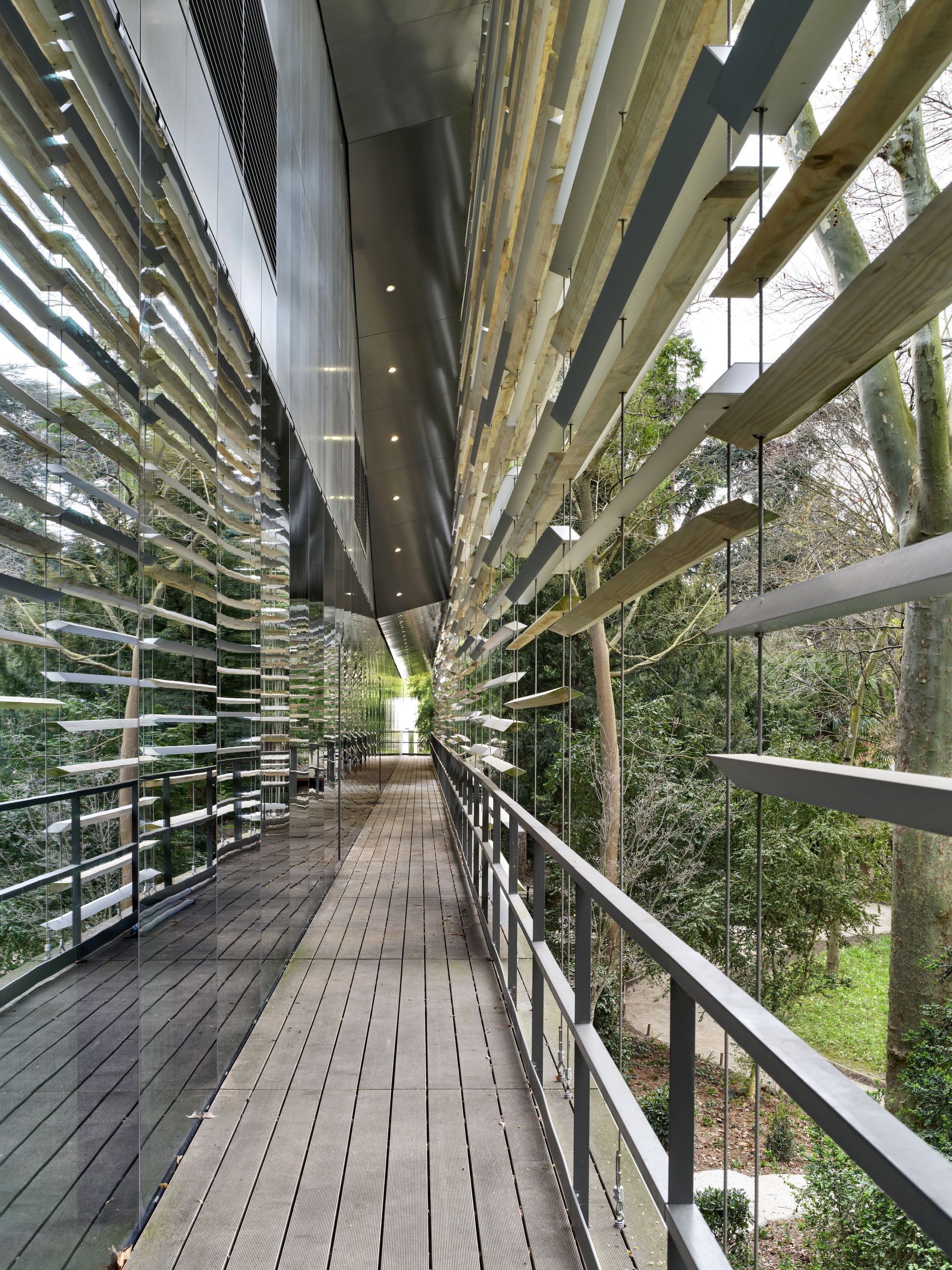 Timber deck walkway enclosed by horizontal louvers and timber slat ceiling overhead
