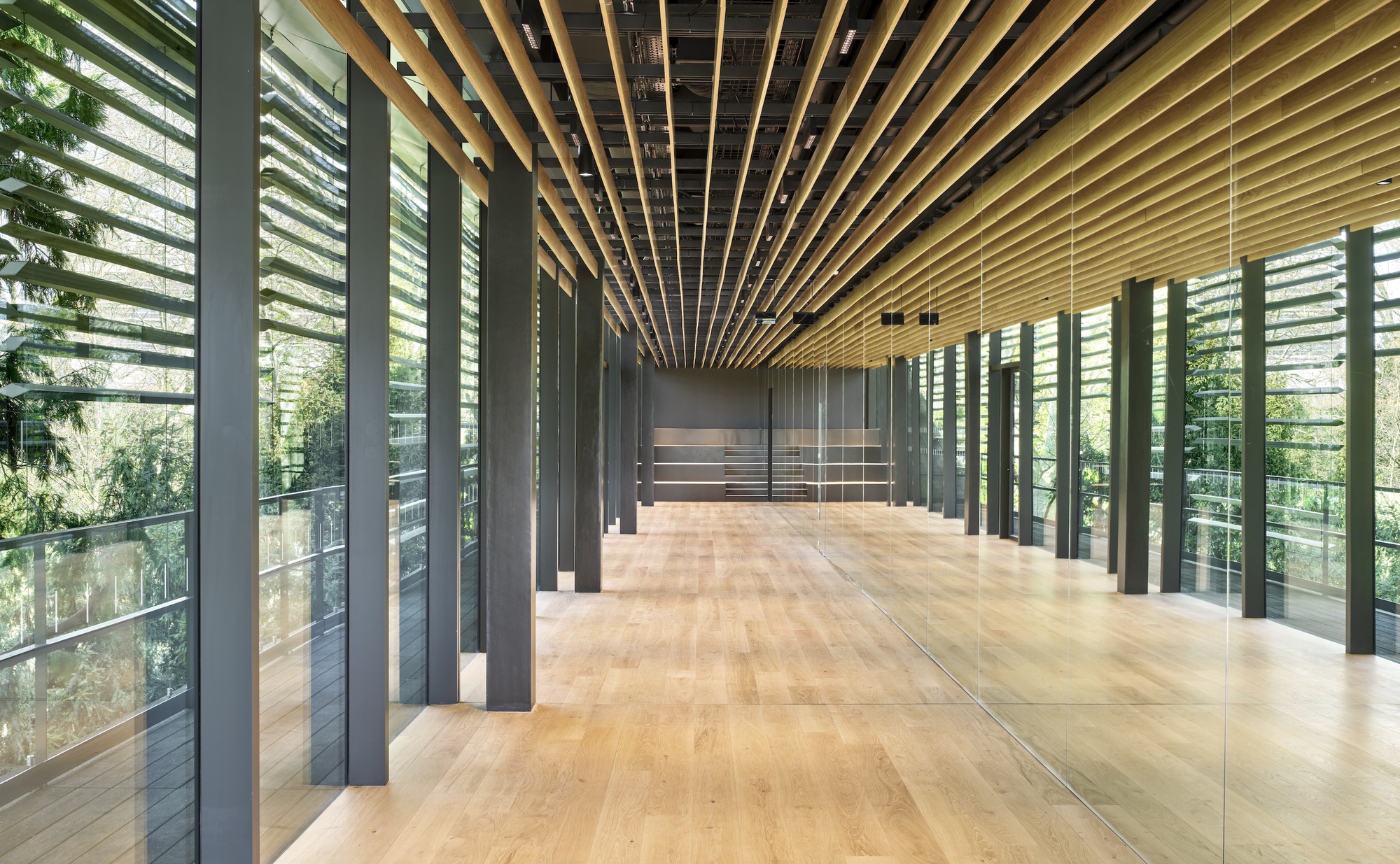 Corridor with oak flooring and rhythmic timber battens spanning the ceiling between glazed walls