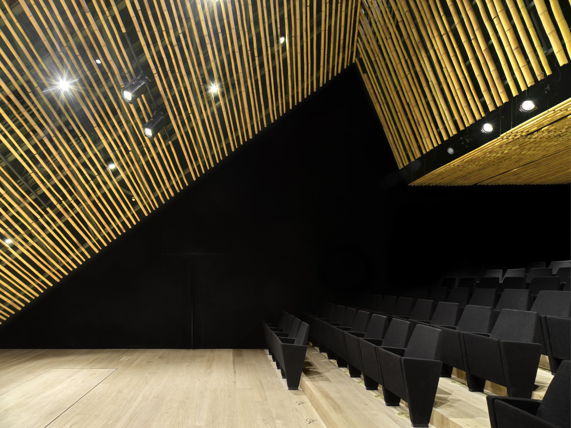 Auditorium with rows of dark seating facing a black angled wall beneath a timber slatted ceiling