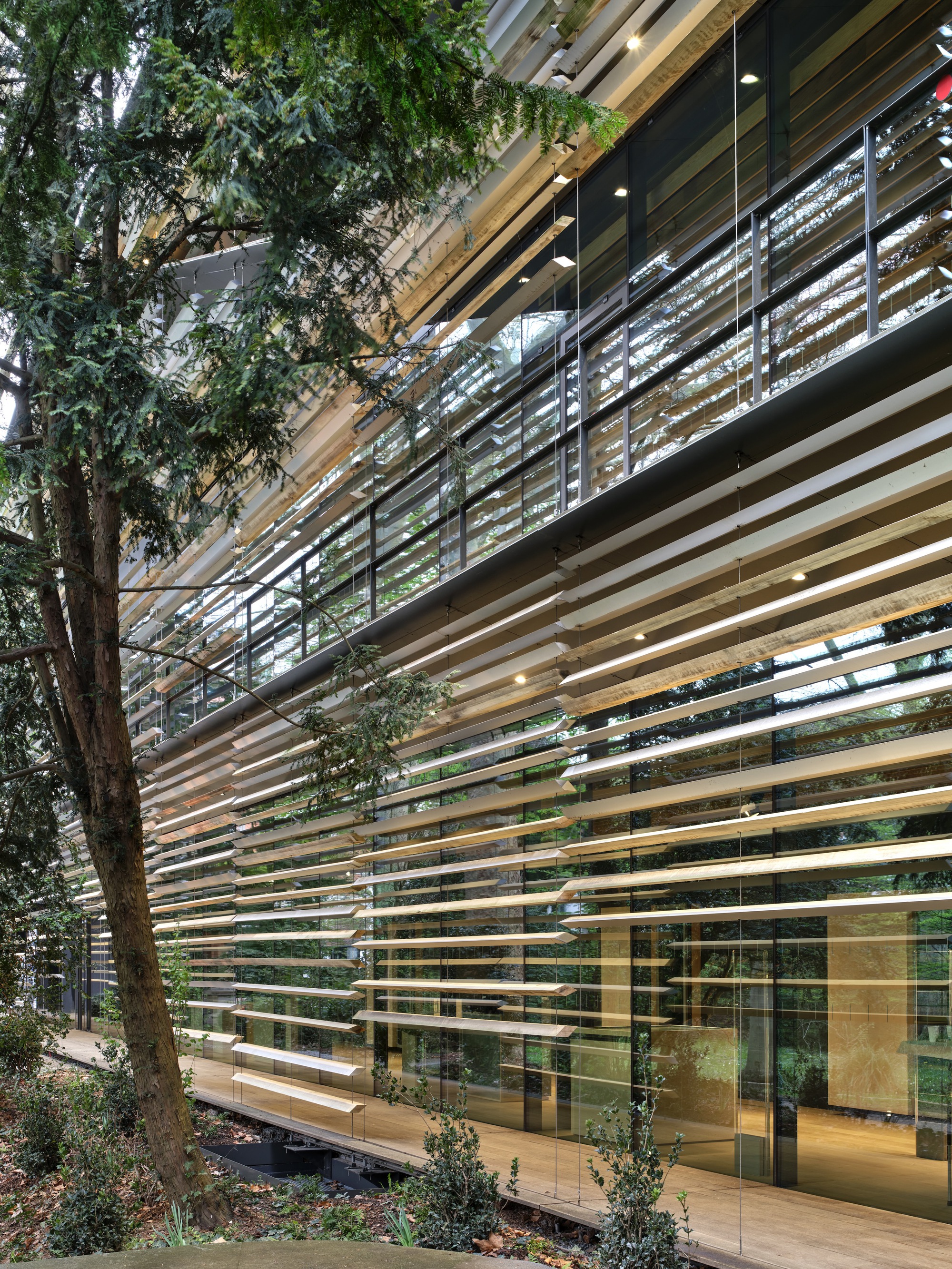 Close-up of the timber and glass louver facade layered against the glazed interior walls