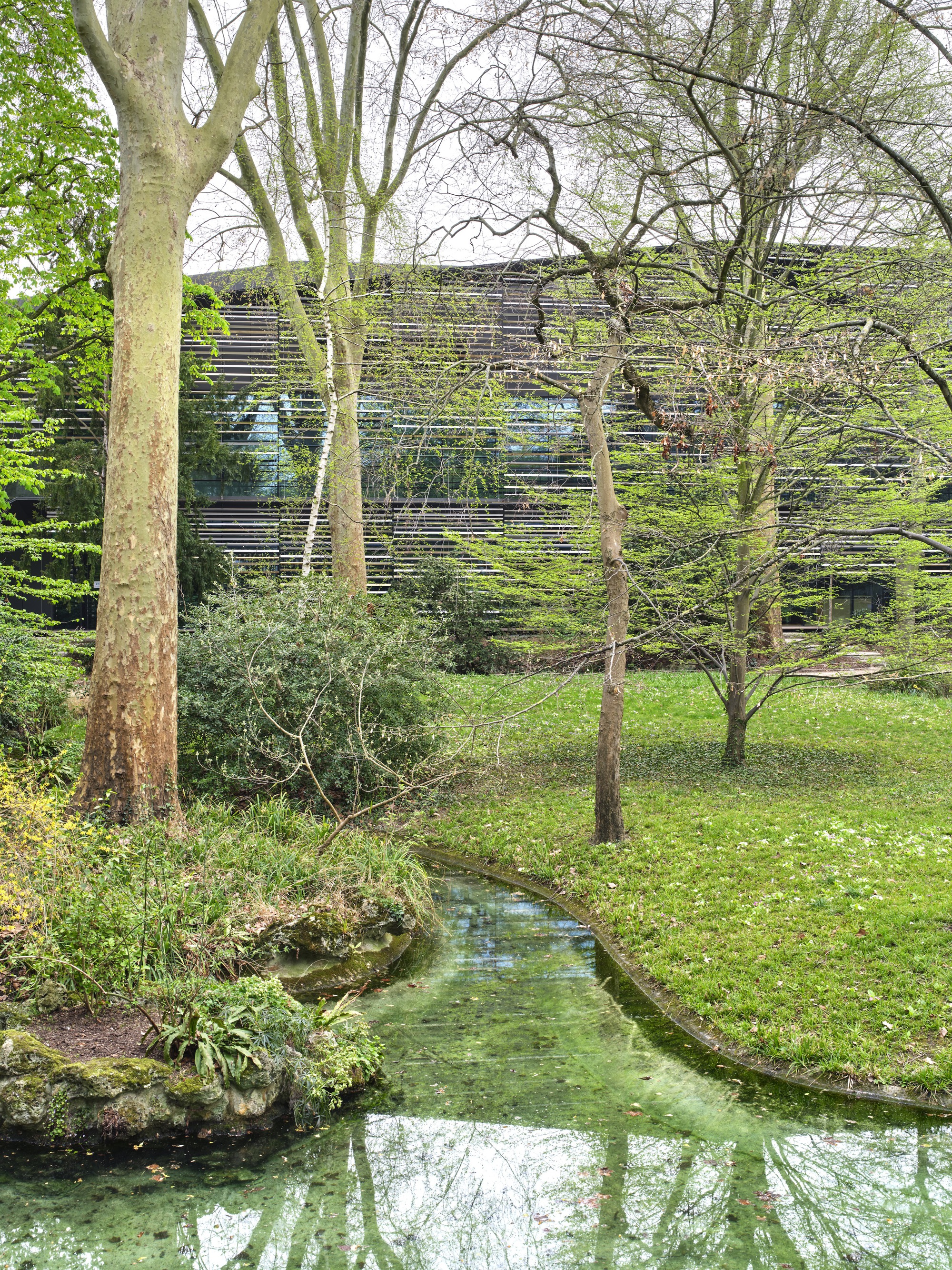 View across the reflecting pond to the screened facade visible through bare tree trunks
