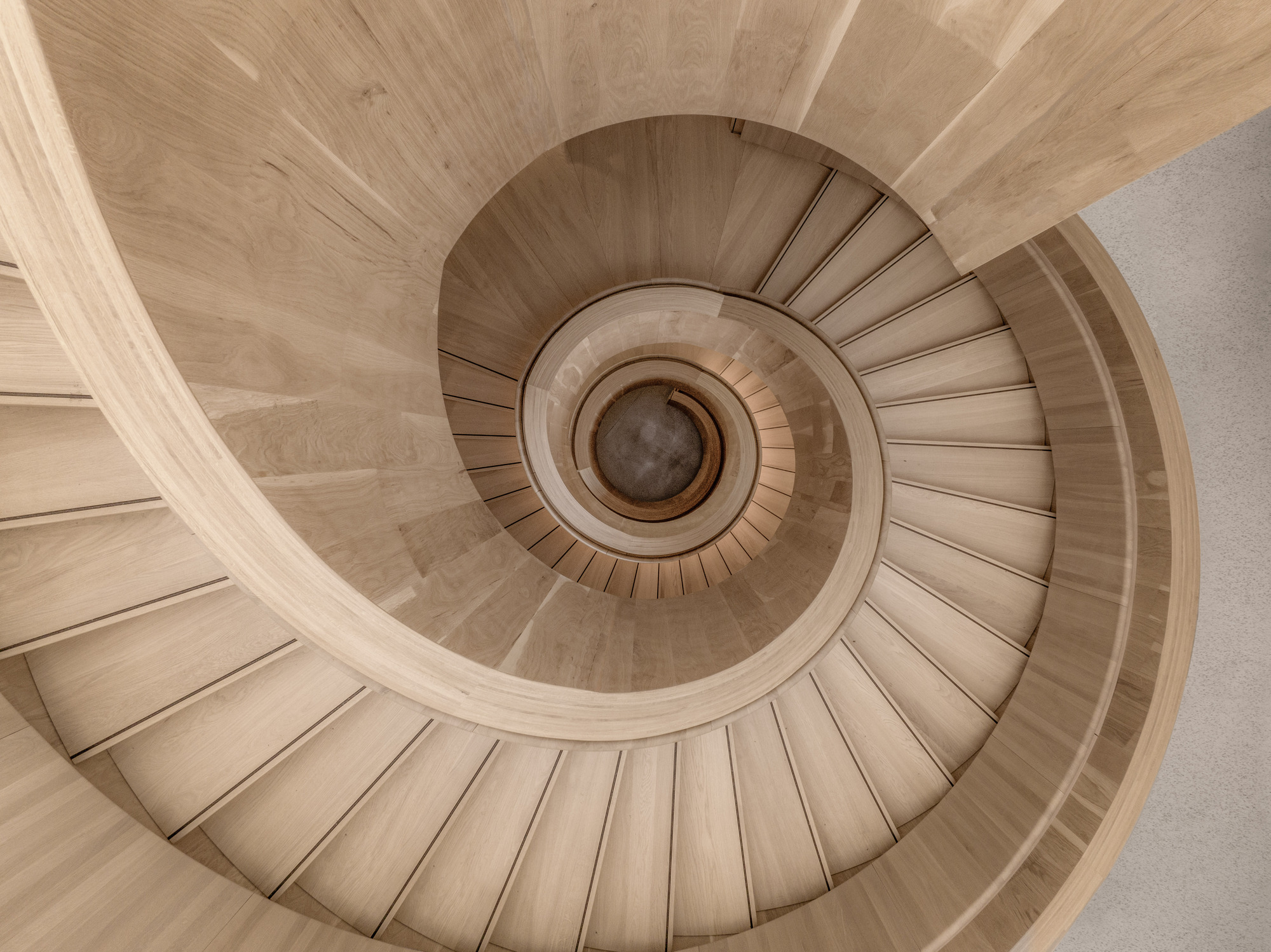Top-down view of a spiral staircase with light timber treads and curved risers around a central void