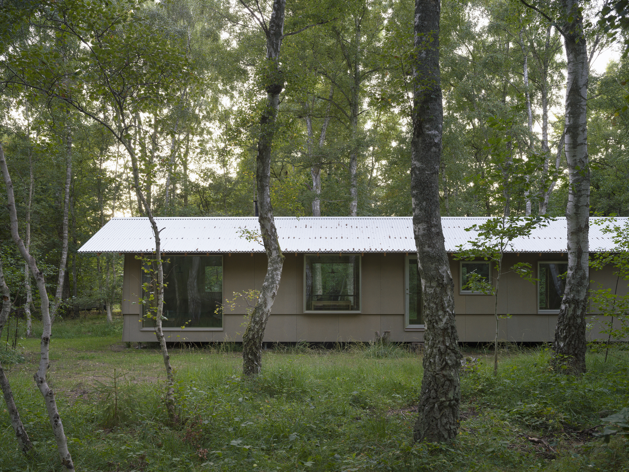 Long facade with corrugated metal roof and timber-framed windows among birch trees in a forest clearing