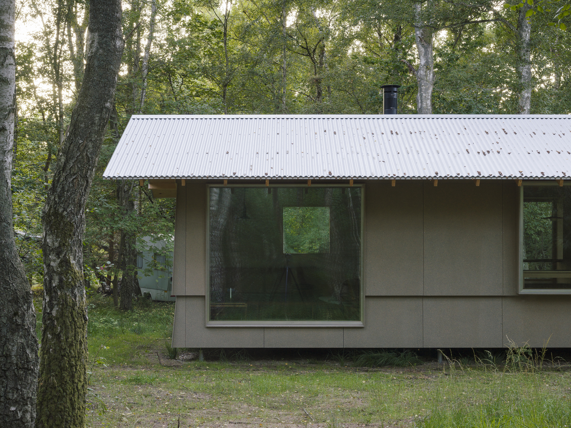 Corner view of the pale paneled facade with large glazed window reflecting surrounding birch trunks