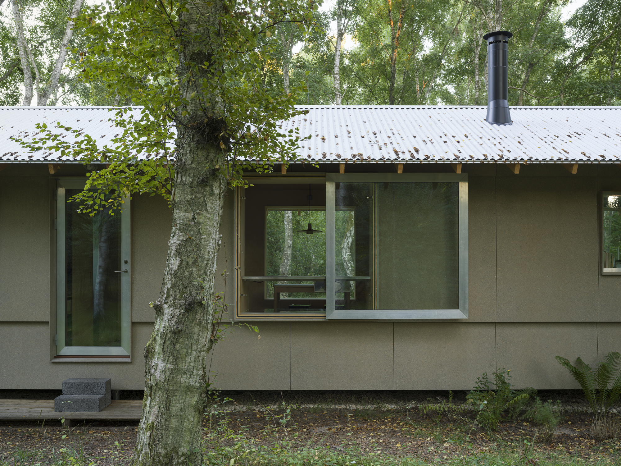 Exterior wall with projecting bay window and glazed door beside a birch tree trunk