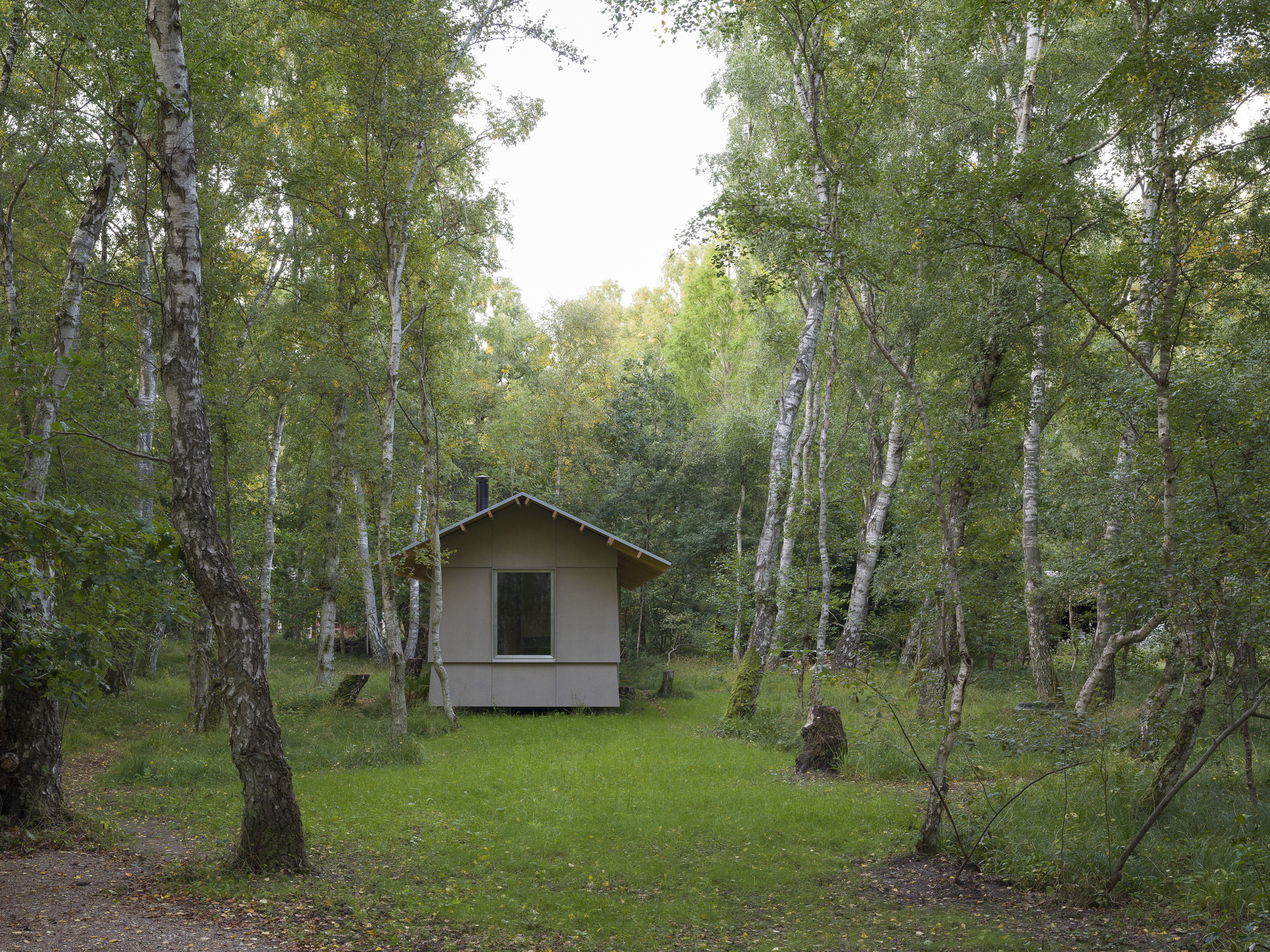 Gabled volume with single window centered in a birch grove clearing