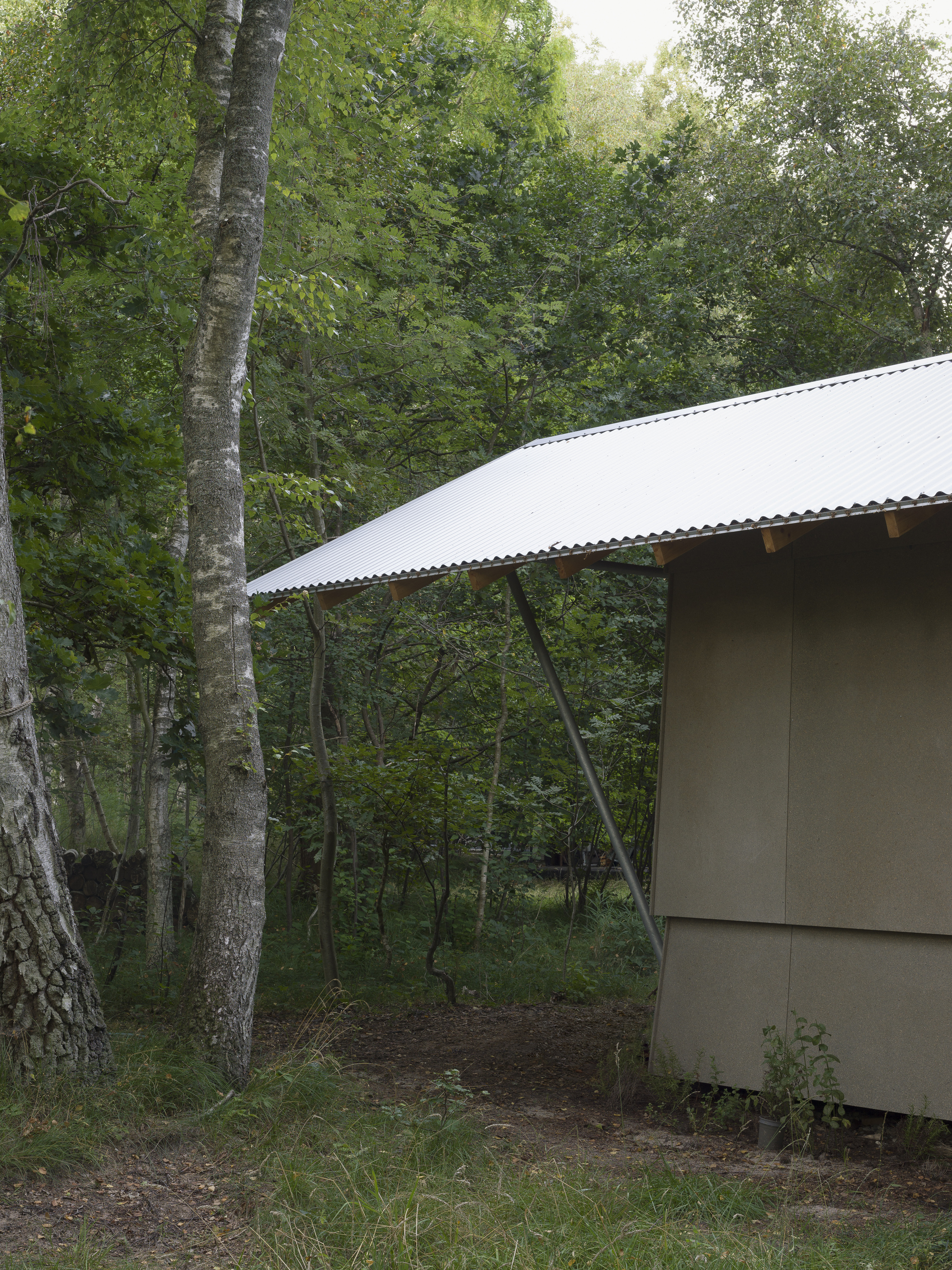 Angled roof support struts beneath the corrugated overhang in the wooded grove