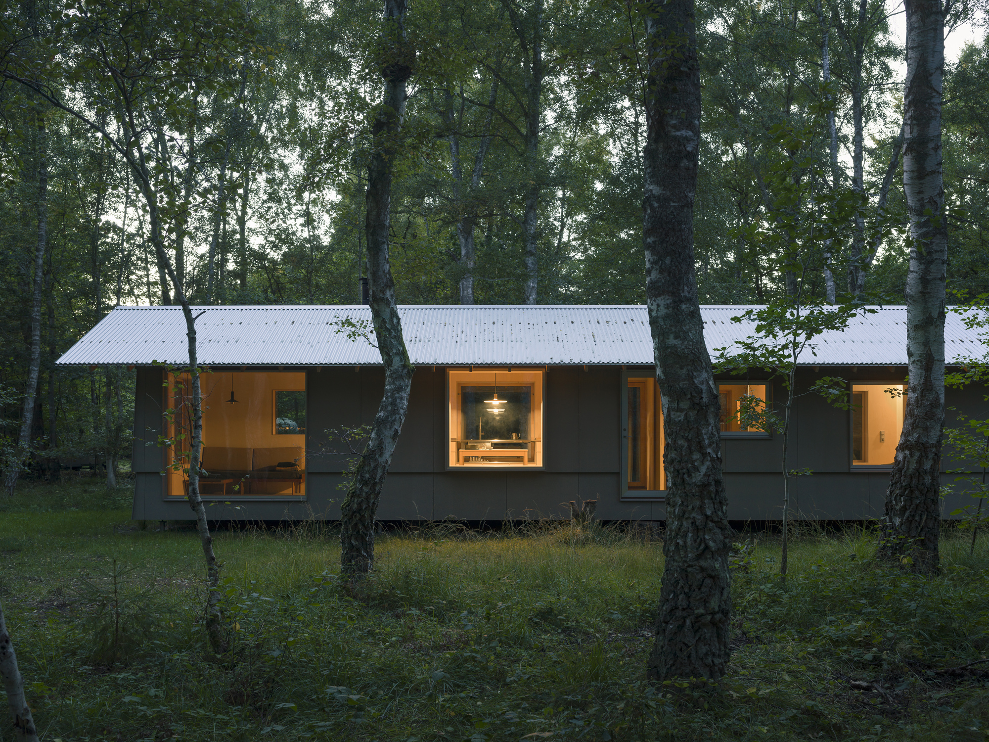 Dark facade with corrugated metal roof and lit interior framed by birch trees at dusk