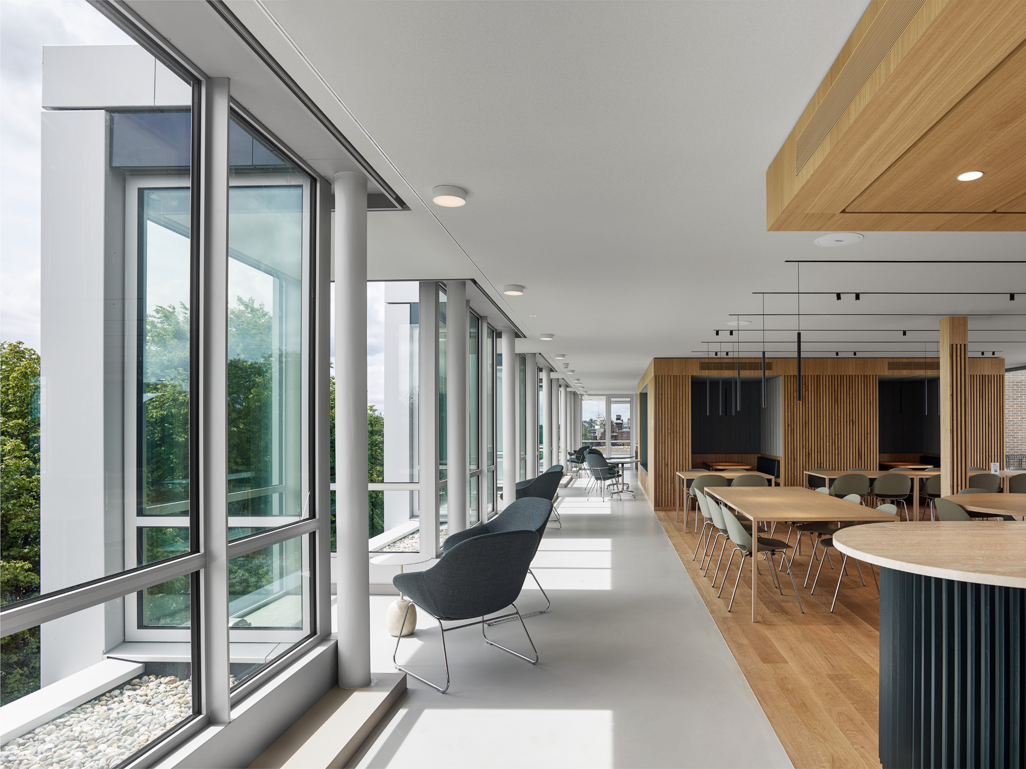 Interior hallway along the glazed facade with timber-lined dining area in afternoon light