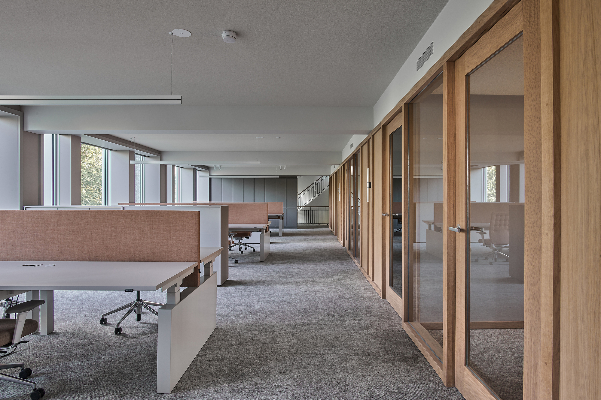 Open office floor with timber-framed glass partitions and workstations beneath a sloped ceiling
