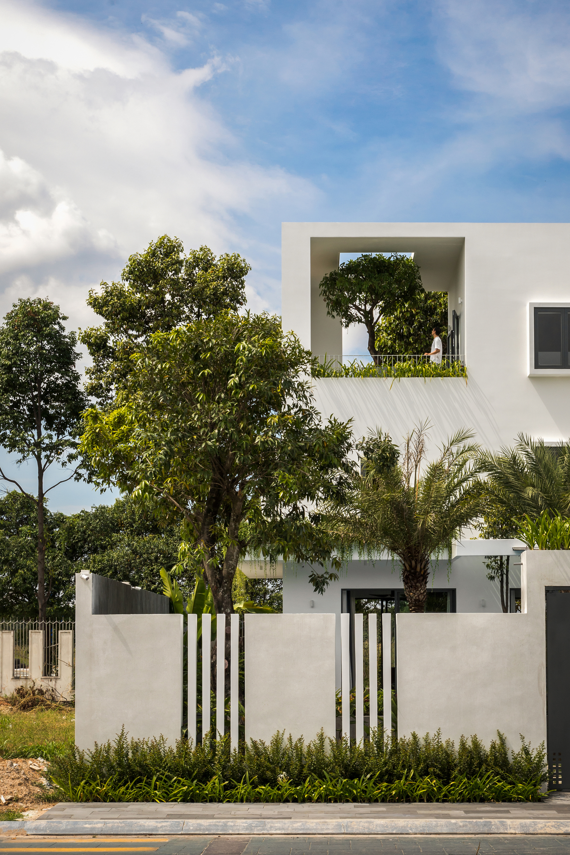 White facade with vertical slatted fence and mature trees framing a planted rooftop terrace