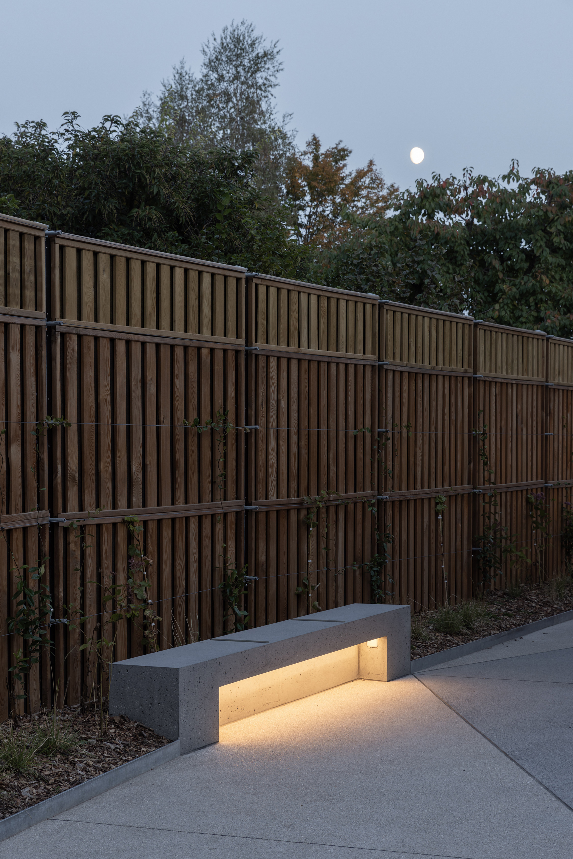 Vertical timber screen fence beside a concrete bench with integrated lighting at dusk under moonlight