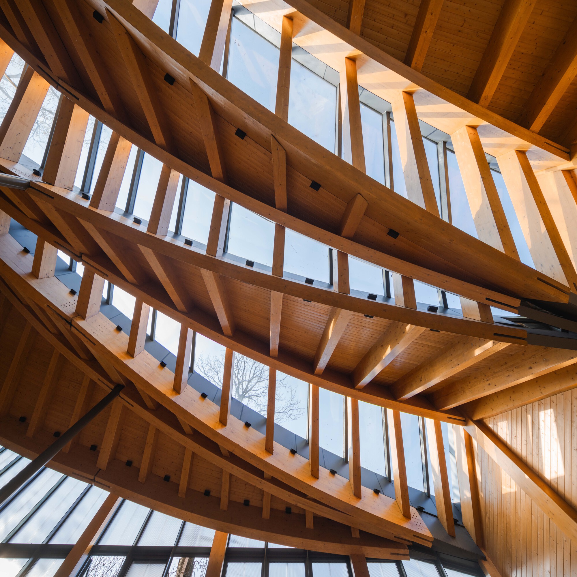Looking up at layered timber beams and clerestory windows framing bare winter branches