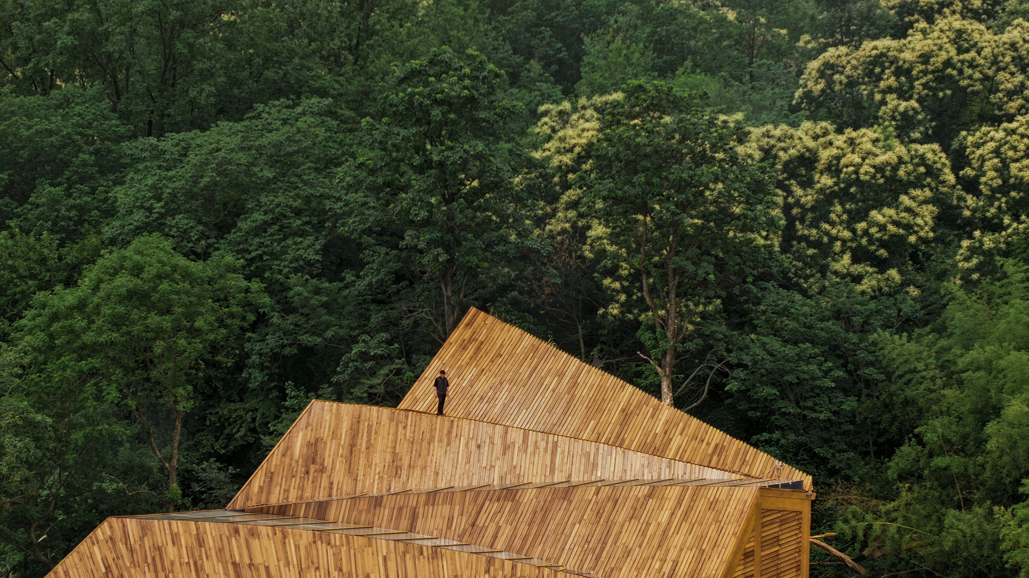 Close view of layered timber shingle roofscape against dense forest canopy in spring