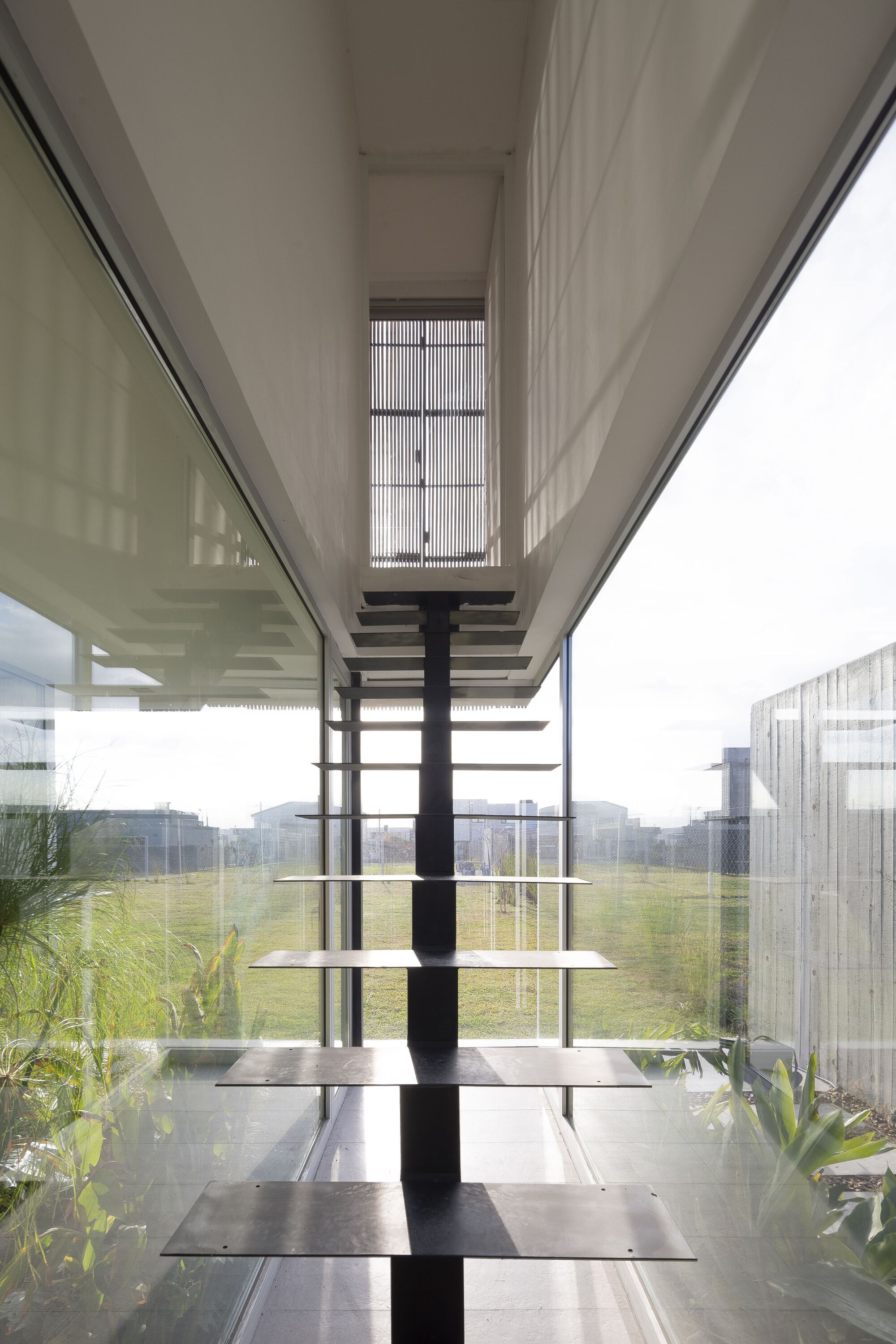 Glass-enclosed staircase with steel treads and central spine overlooking a planted courtyard