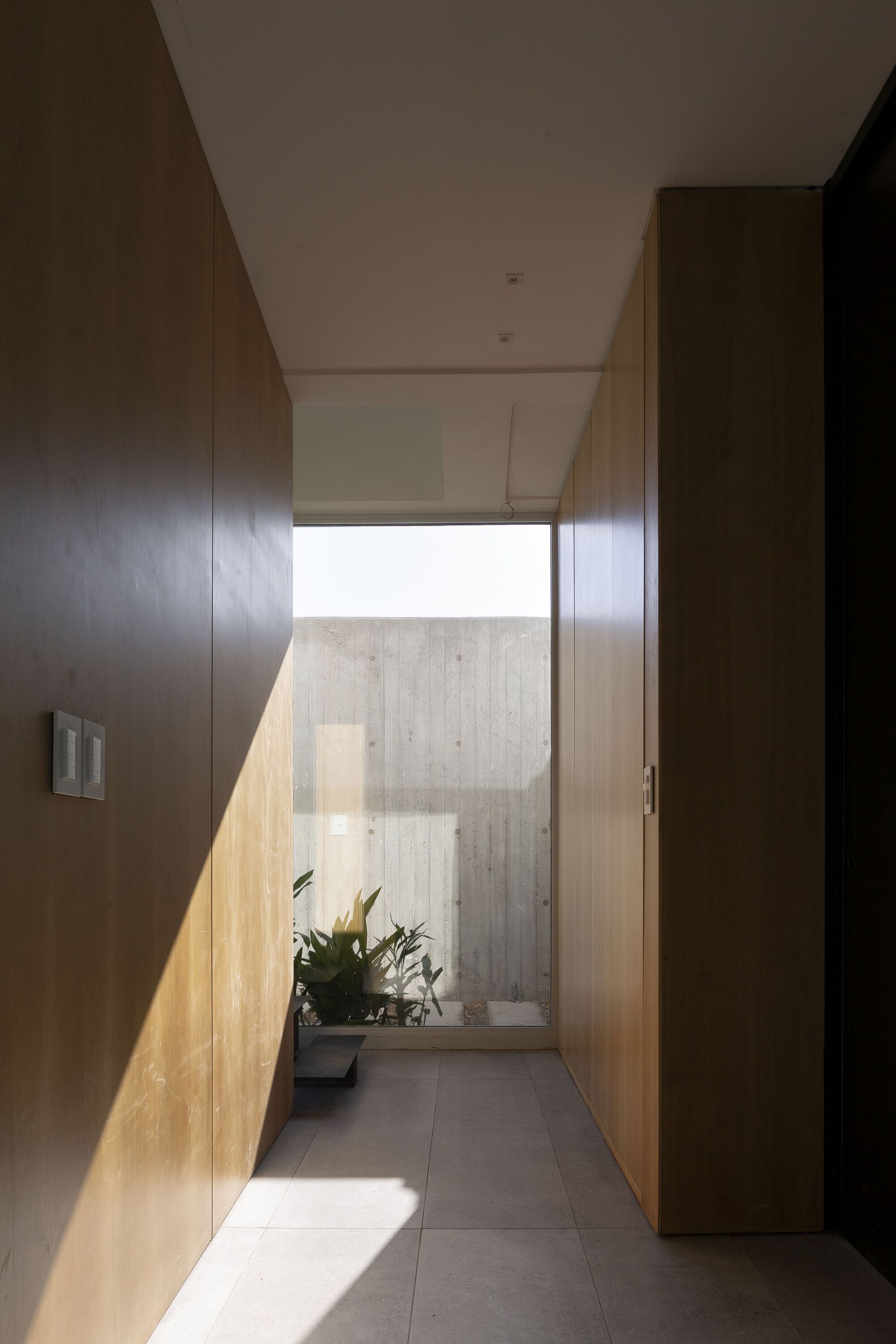 Narrow hallway with wood-paneled walls and a potted plant illuminated by a clerestory window