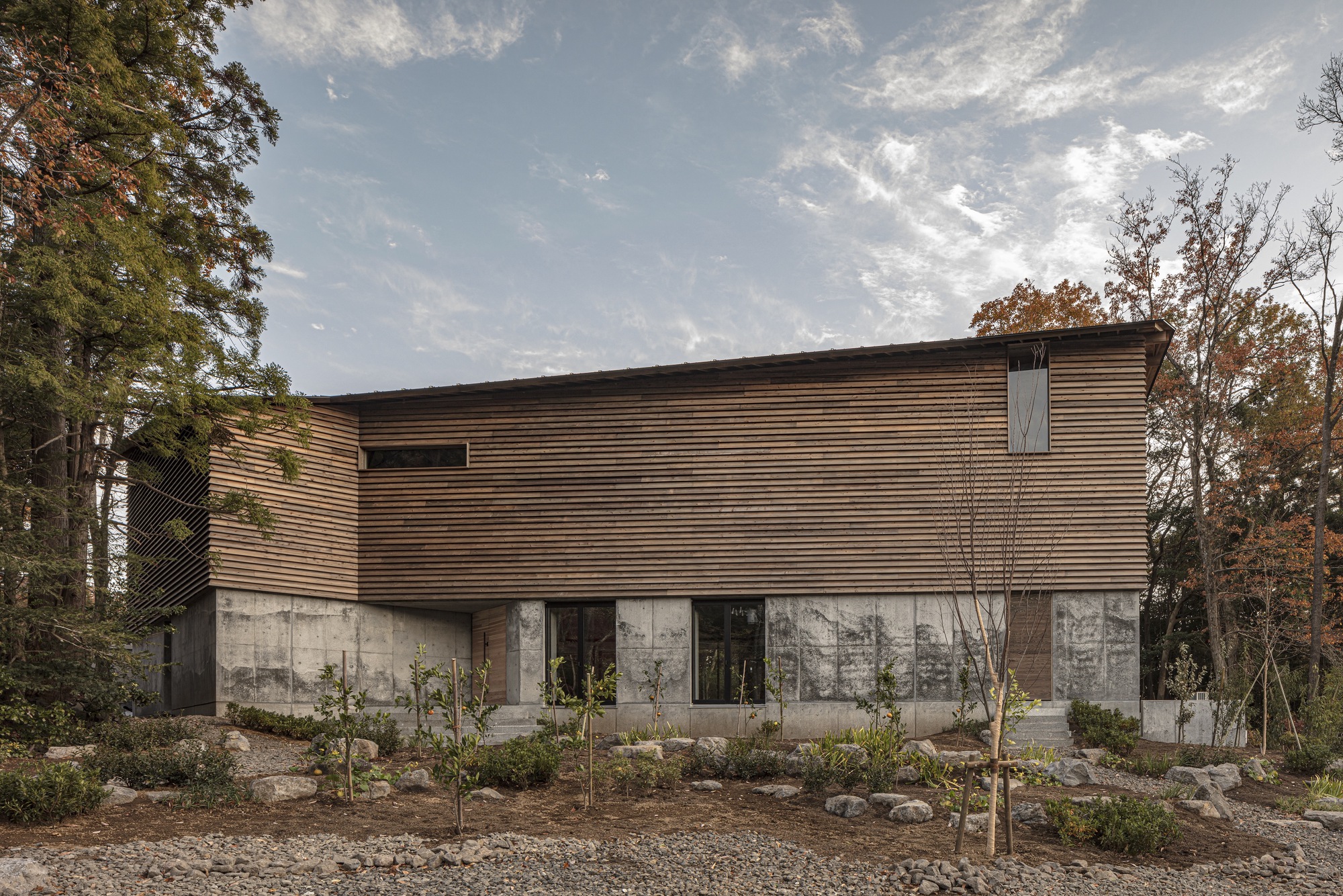 Horizontal timber-clad volume above a concrete base with young trees in a gravel bed