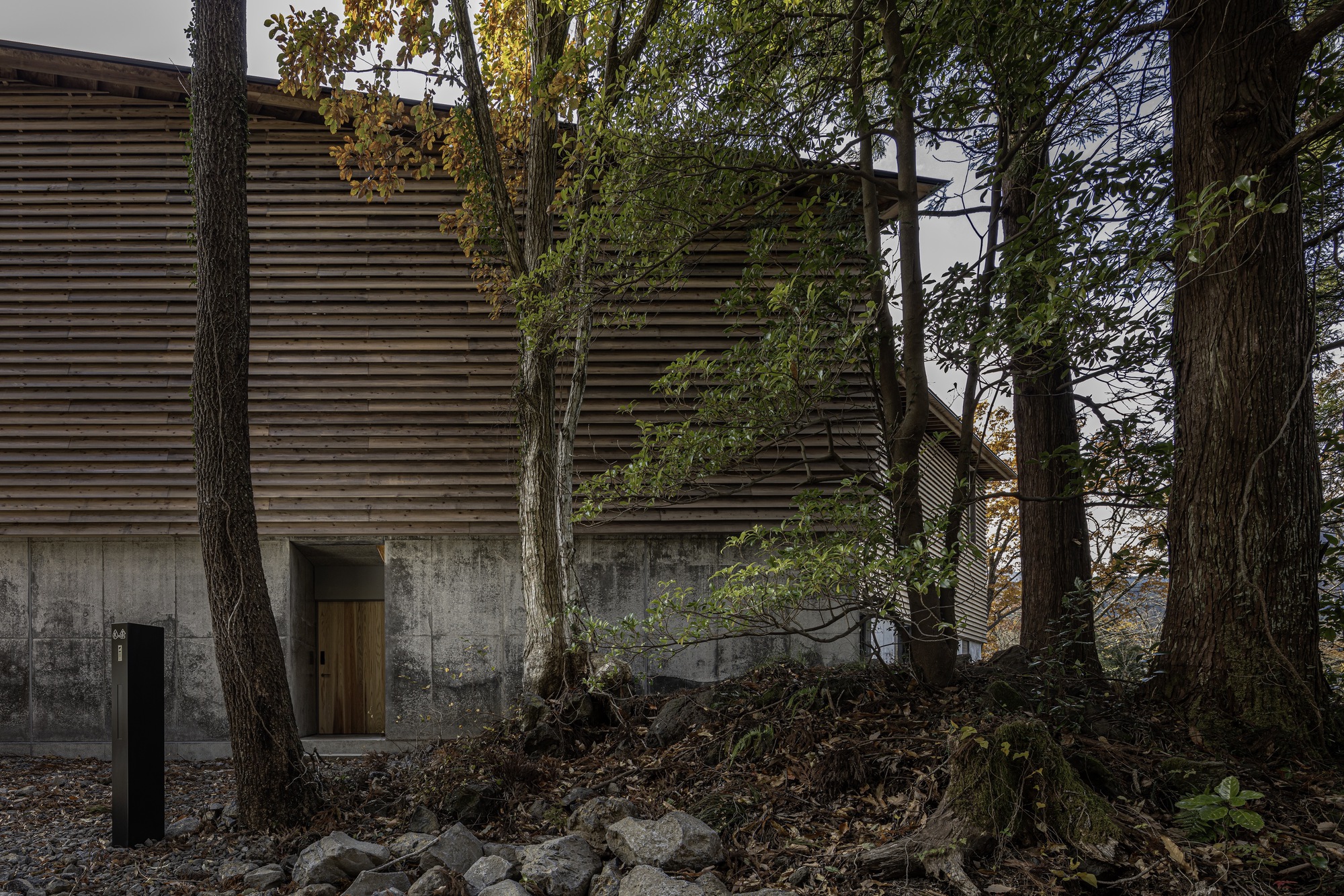 Horizontal timber slatted facade above a concrete base surrounded by forest trees and fallen leaves
