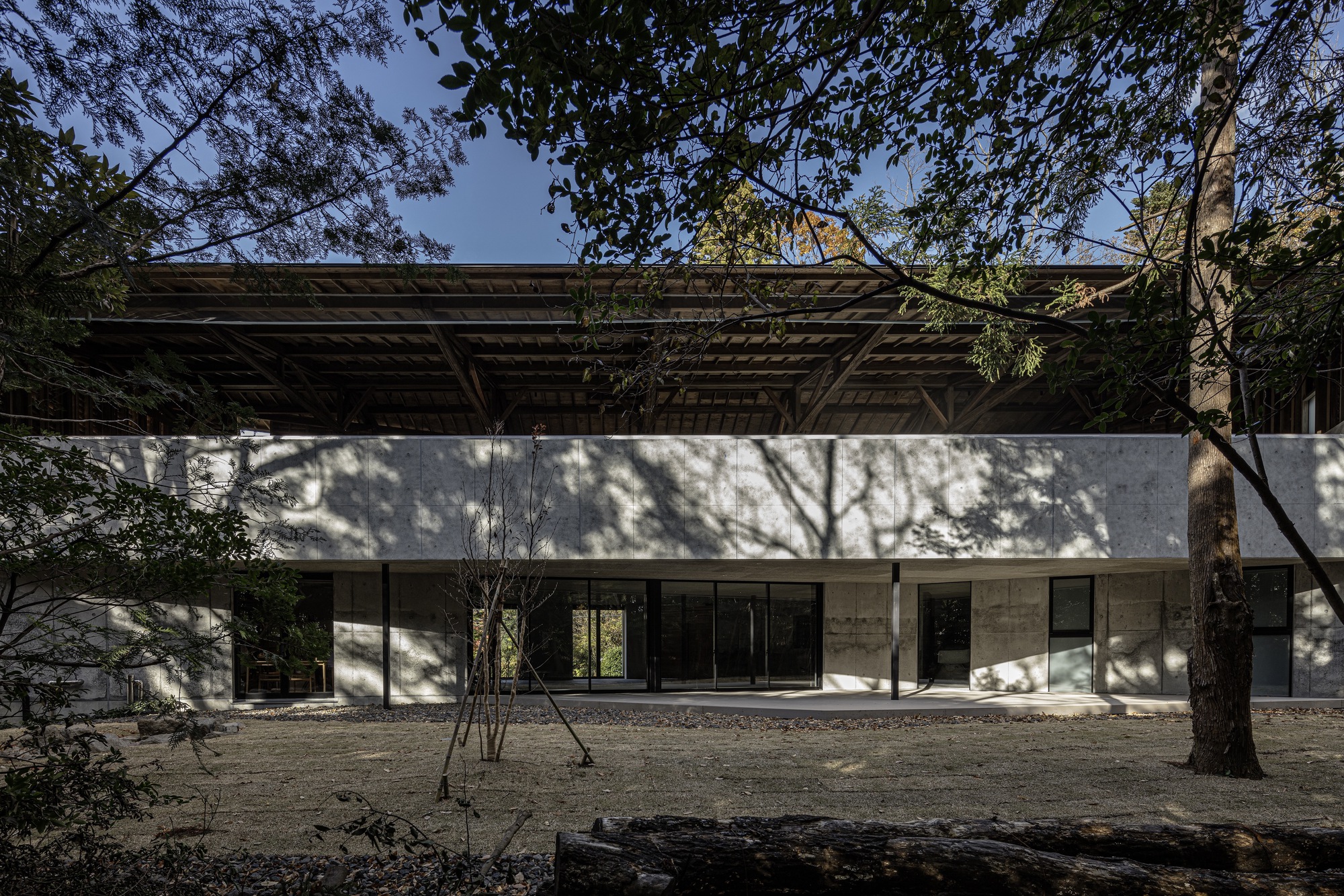 Concrete facade with glazed openings below a timber roof structure framed by tree shadows