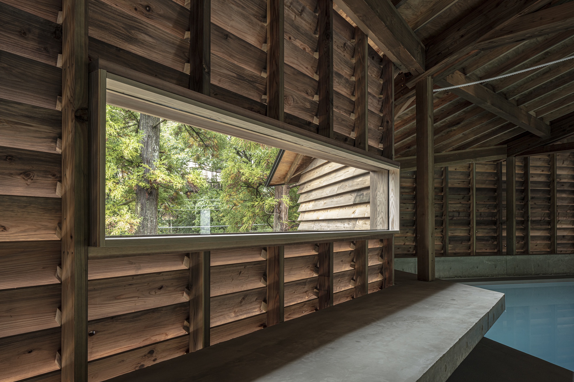 Horizontal window framing forest view within timber slatted wall beside the pool edge