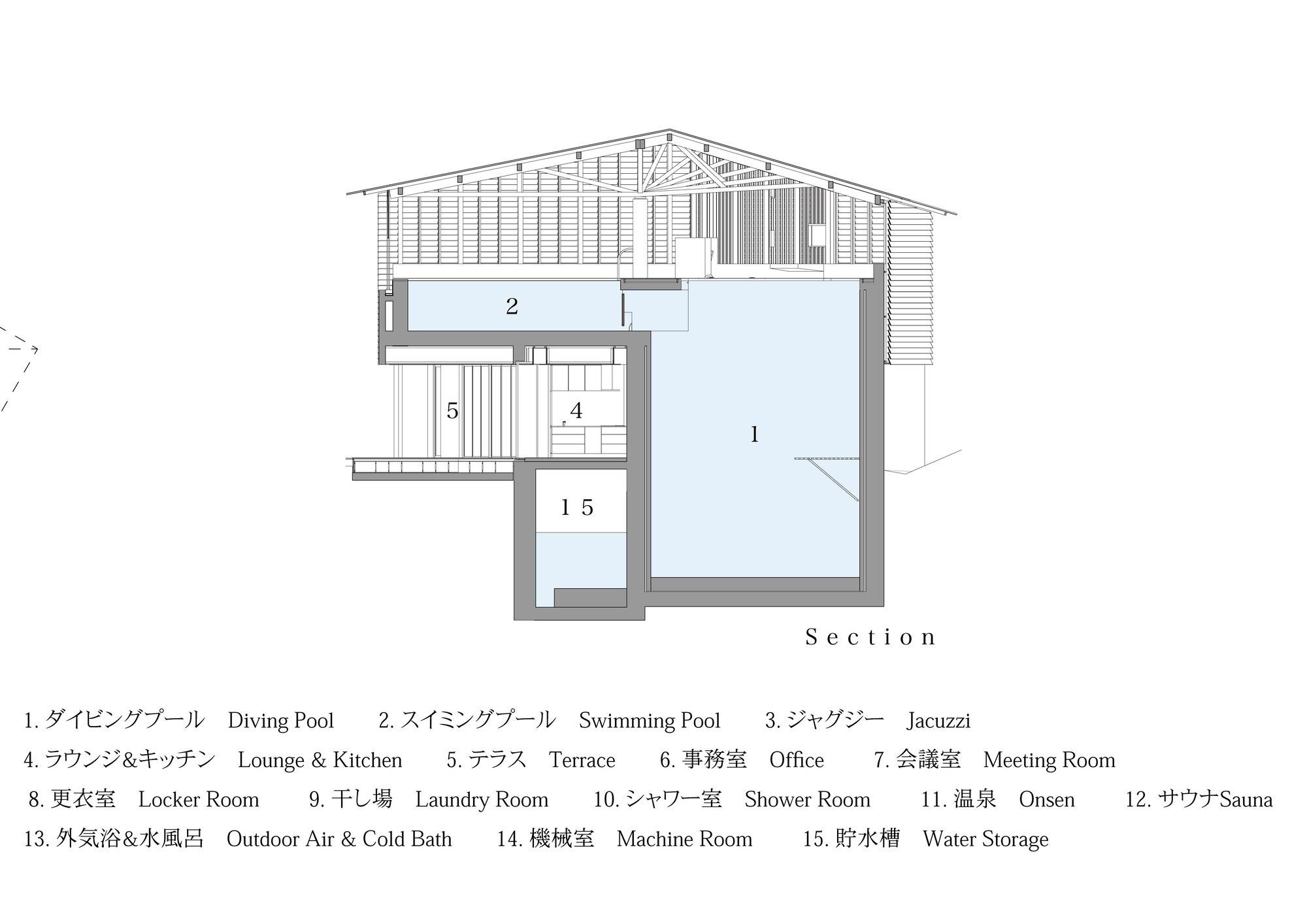 Section drawing illustrating multilevel interior with swimming pool, terrace, and slatted timber roof structure above