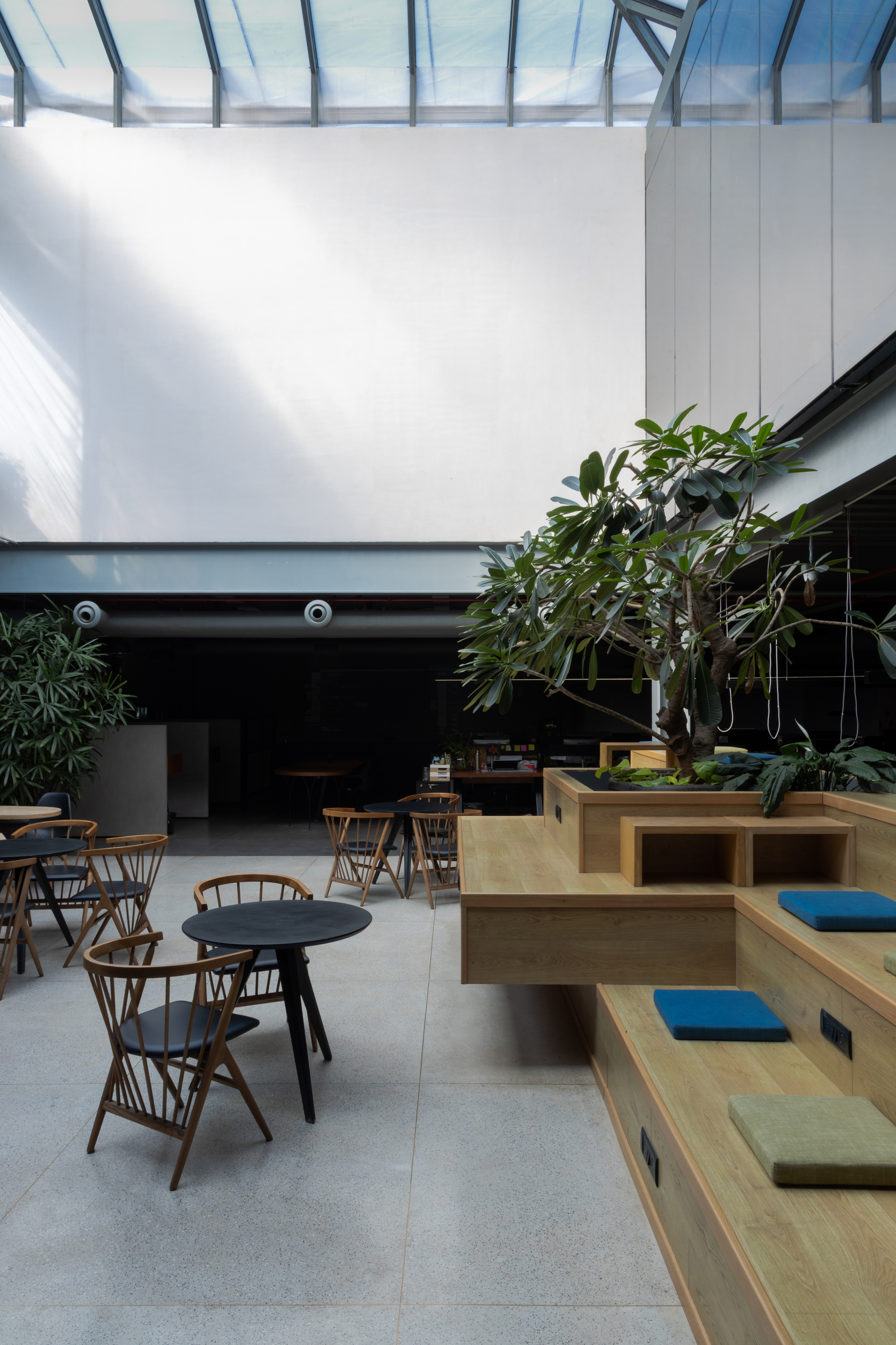 Interior courtyard with timber terraced seating, dining tables and planted tree under a translucent skylight