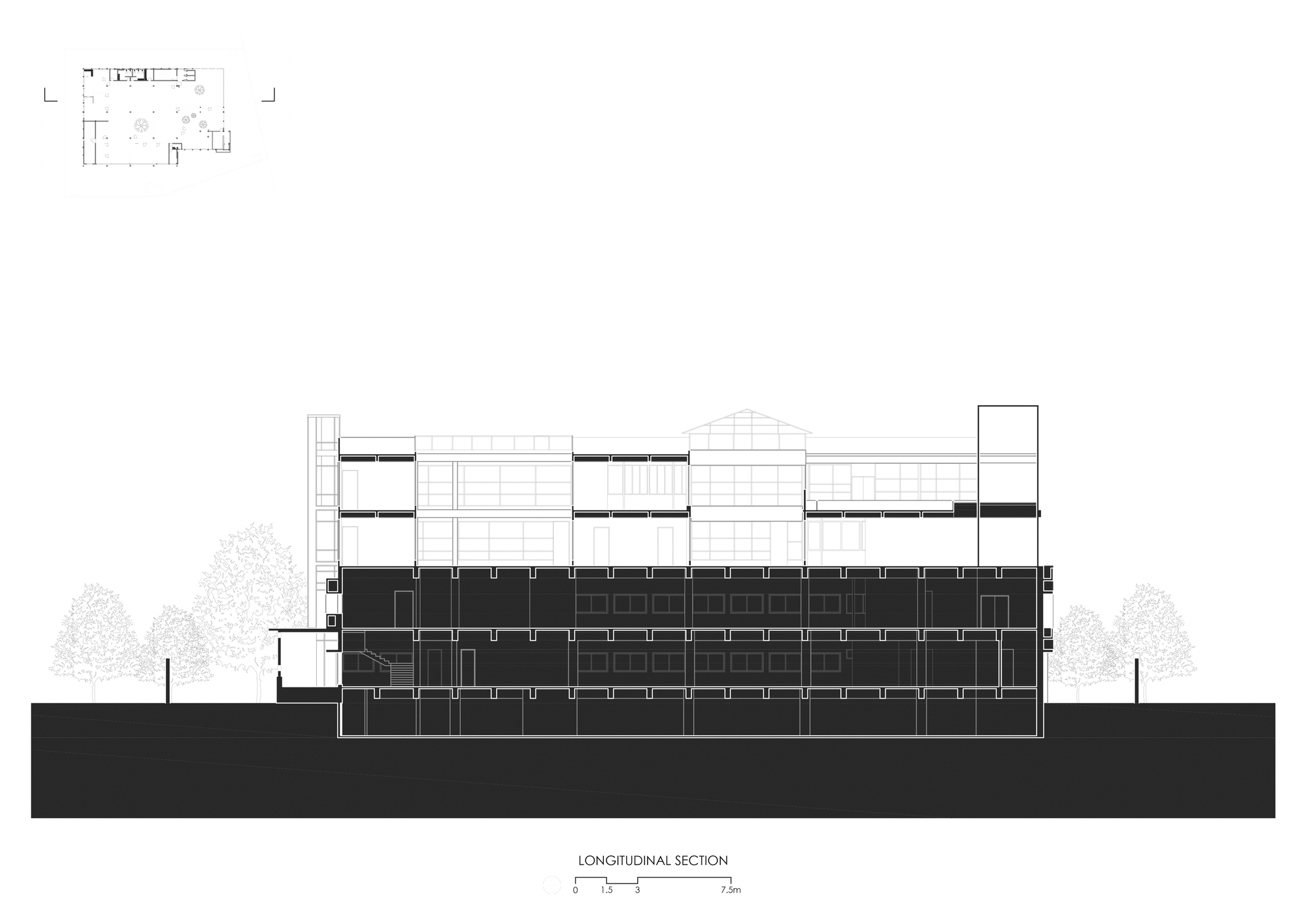 Longitudinal section drawing showing a multi-story volume with horizontal floor plates and flanking trees