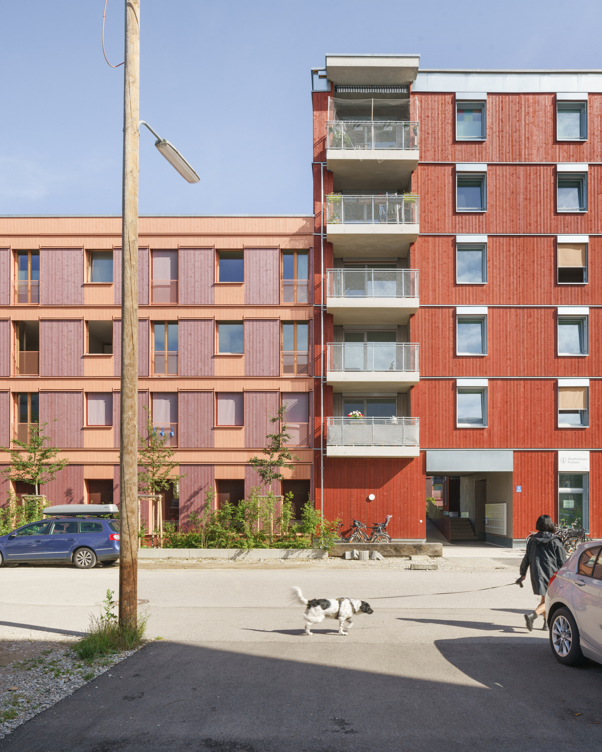 Street view showing two residential blocks with timber and tile facades and a dog crossing