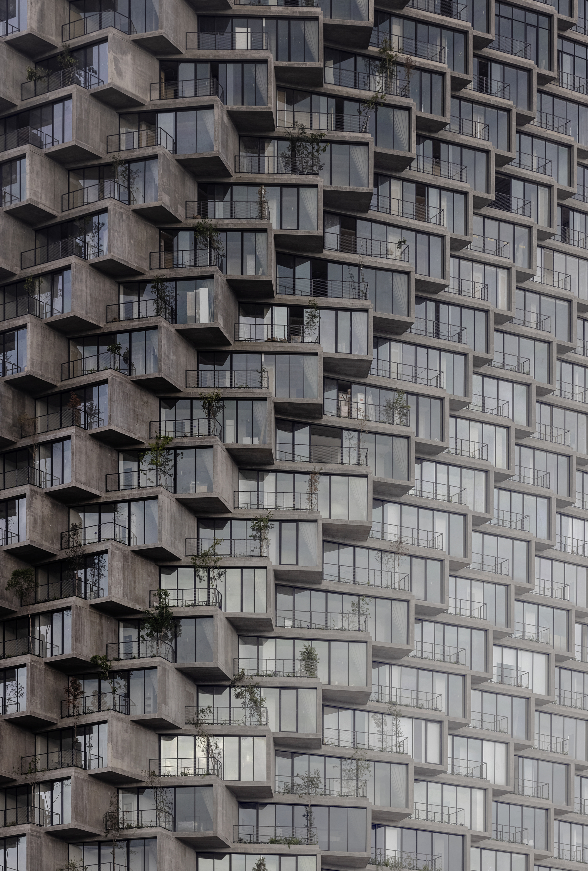 Repetitive concrete balcony grid with recessed glass panels and scattered vegetation