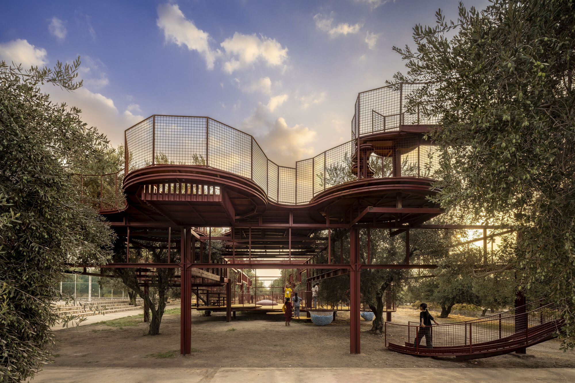 Elevated play structure with wire mesh enclosures rising above the olive grove at golden hour