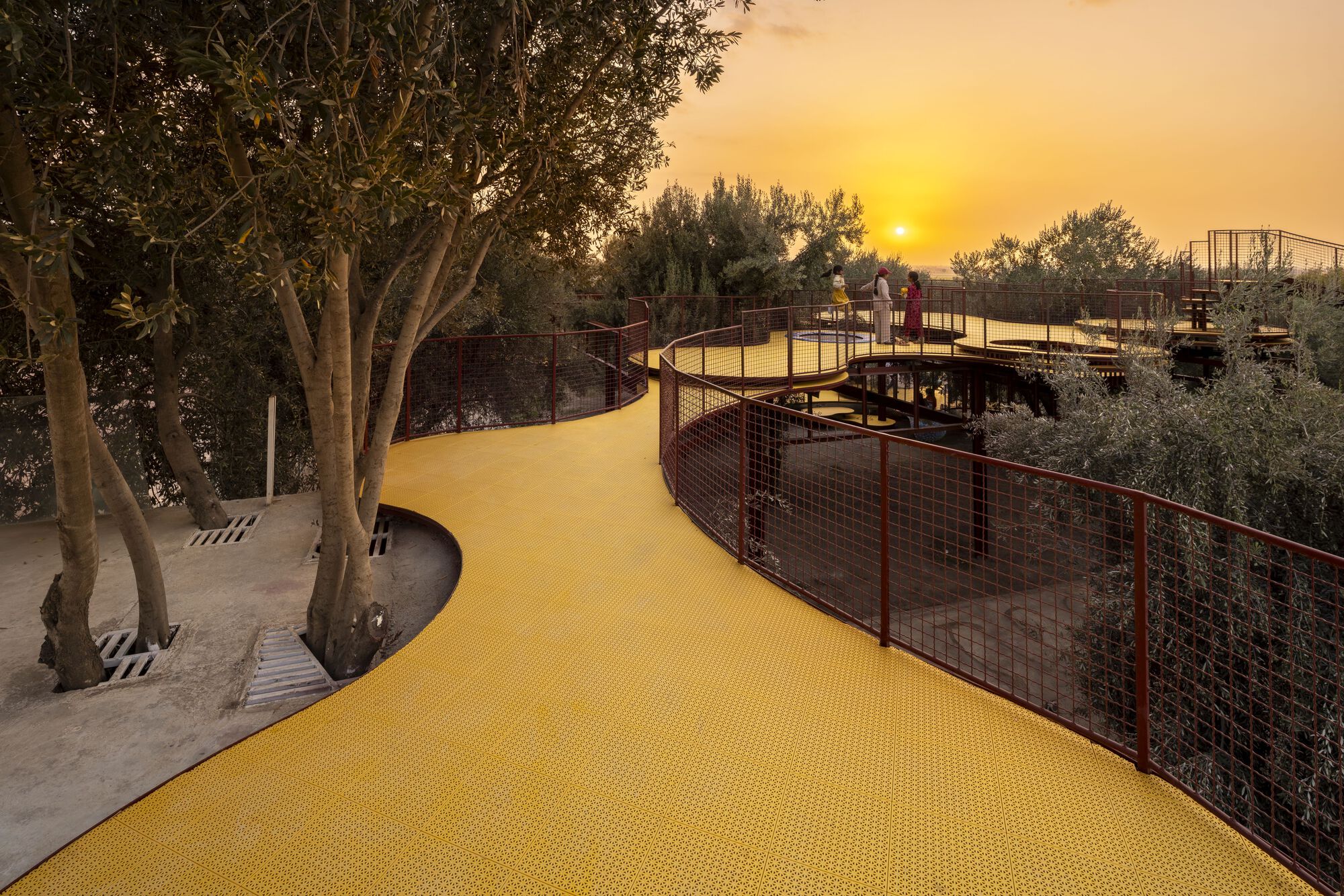 Curving yellow walkway with mesh railings winding through olive trees at sunset