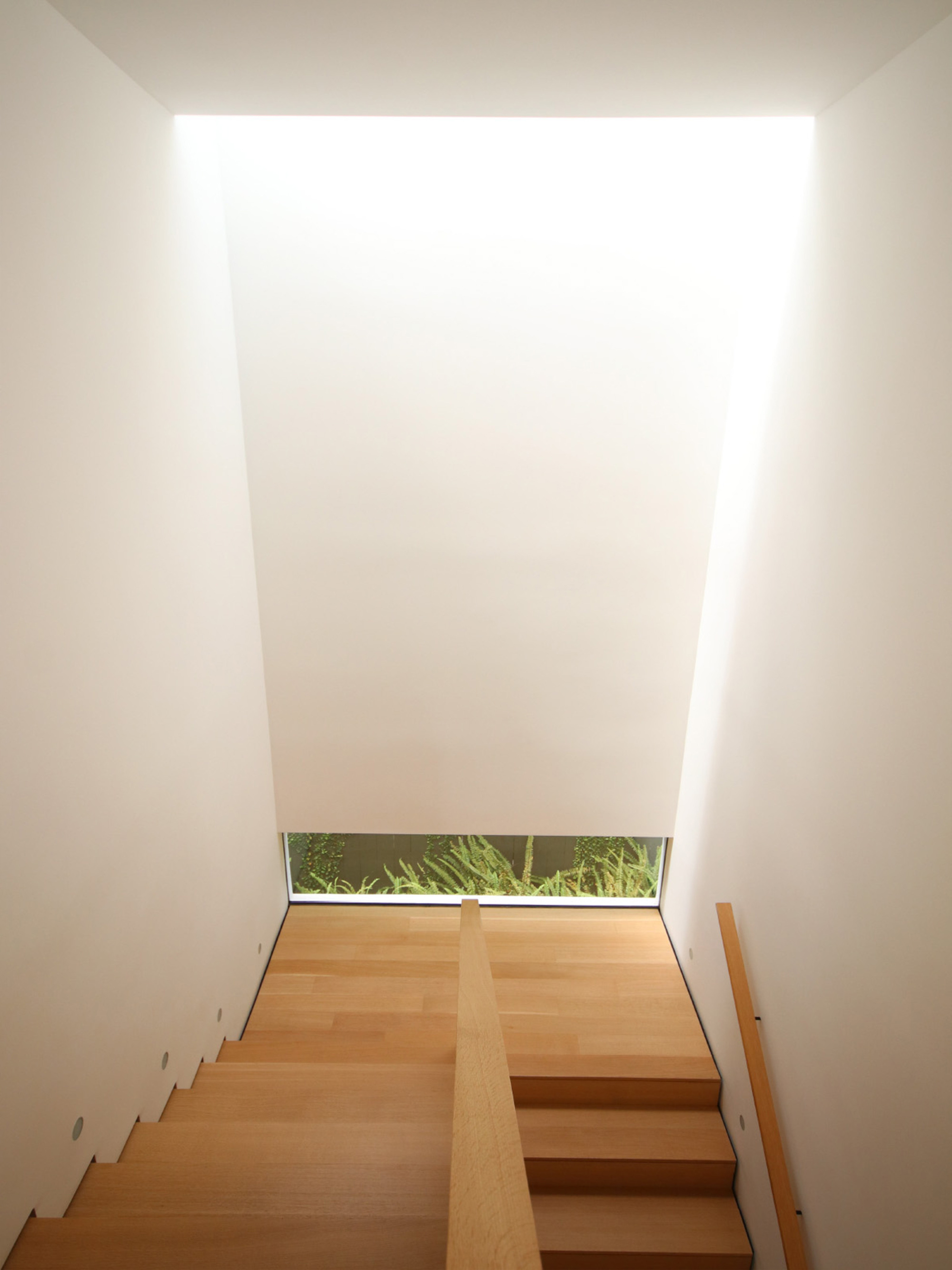 Top-down view of timber staircase beneath a skylight with garden glimpsed through window