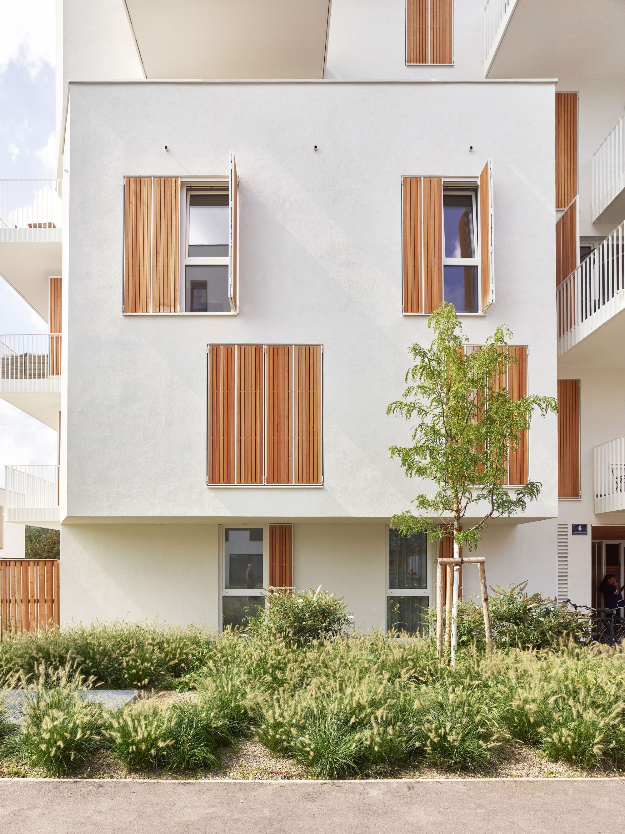 White stucco facade with vertical timber shutters and a young tree beside planted beds