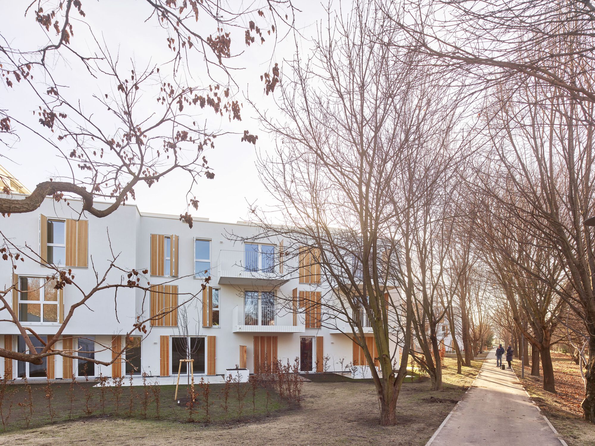 White residential facade with timber screens viewed through bare winter trees and pedestrians