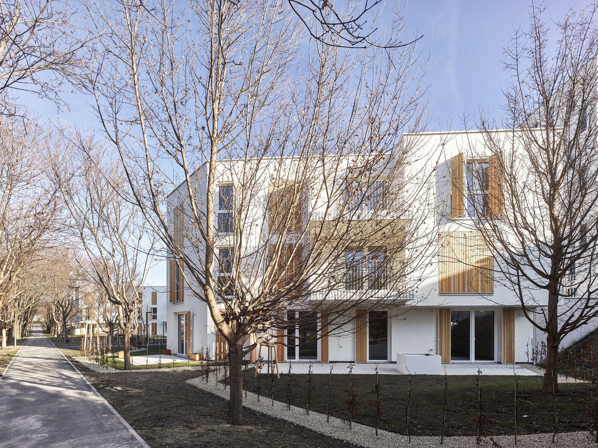 White corner building with timber shutters framed by pollarded trees in winter