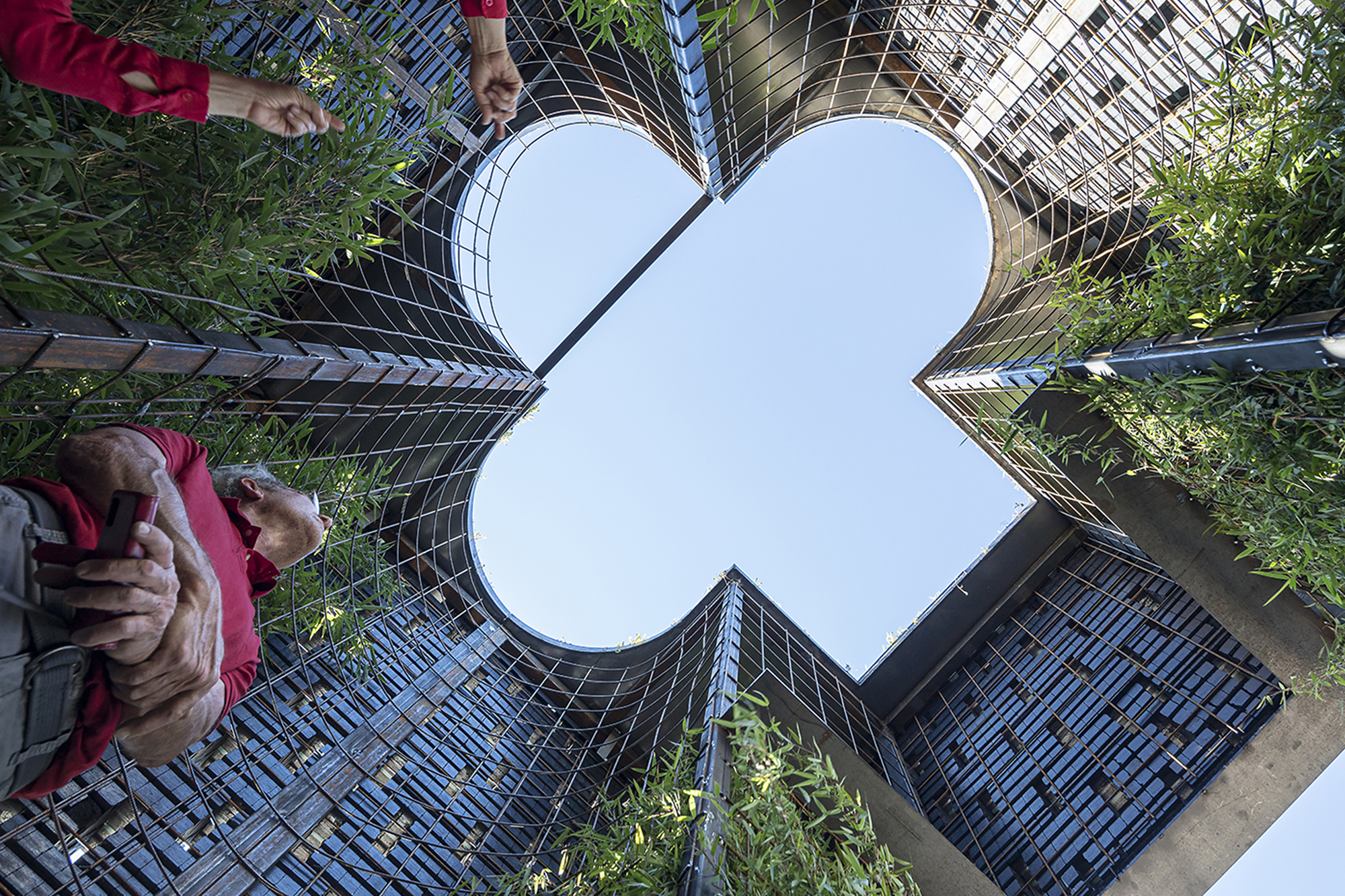 Upward view through the clover-shaped opening framed by planted vertical screens and visitors