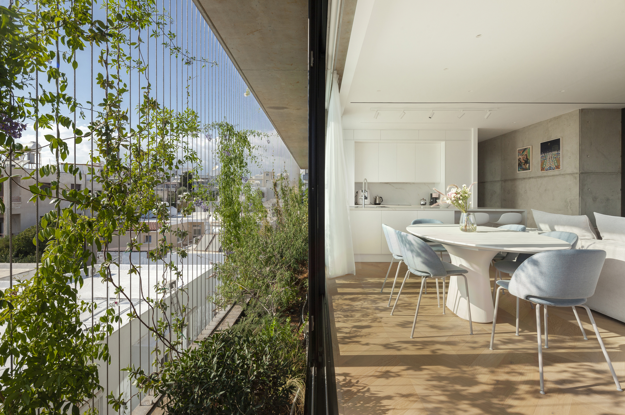 Open-plan dining area with floor-to-ceiling glass and terrace garden with climbing plants on cable trellis