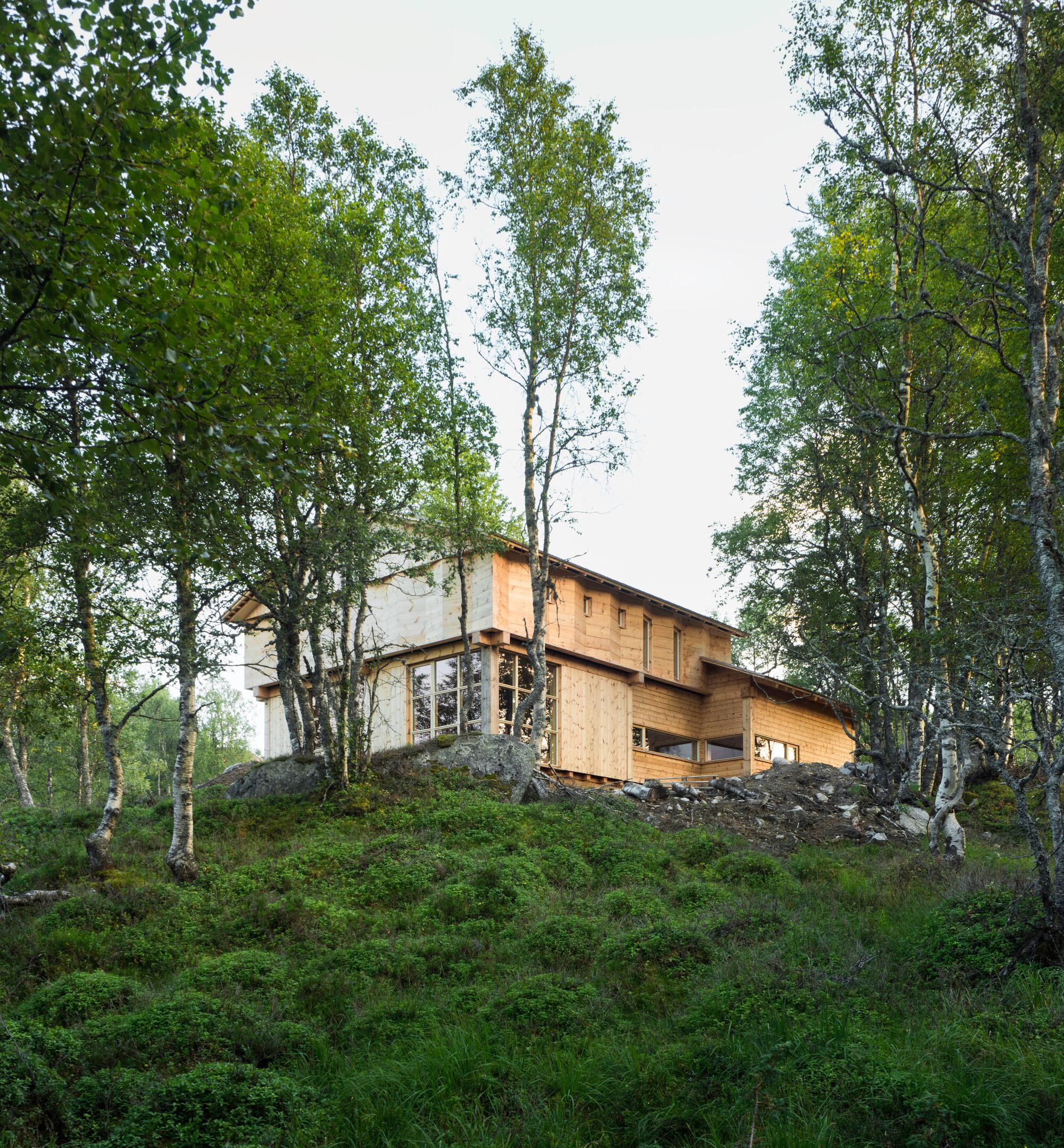 Charred Timber