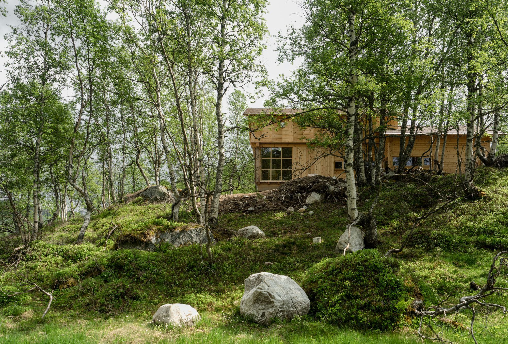 Timber-clad volume nestled into a mossy hillside among birch trees and scattered boulders