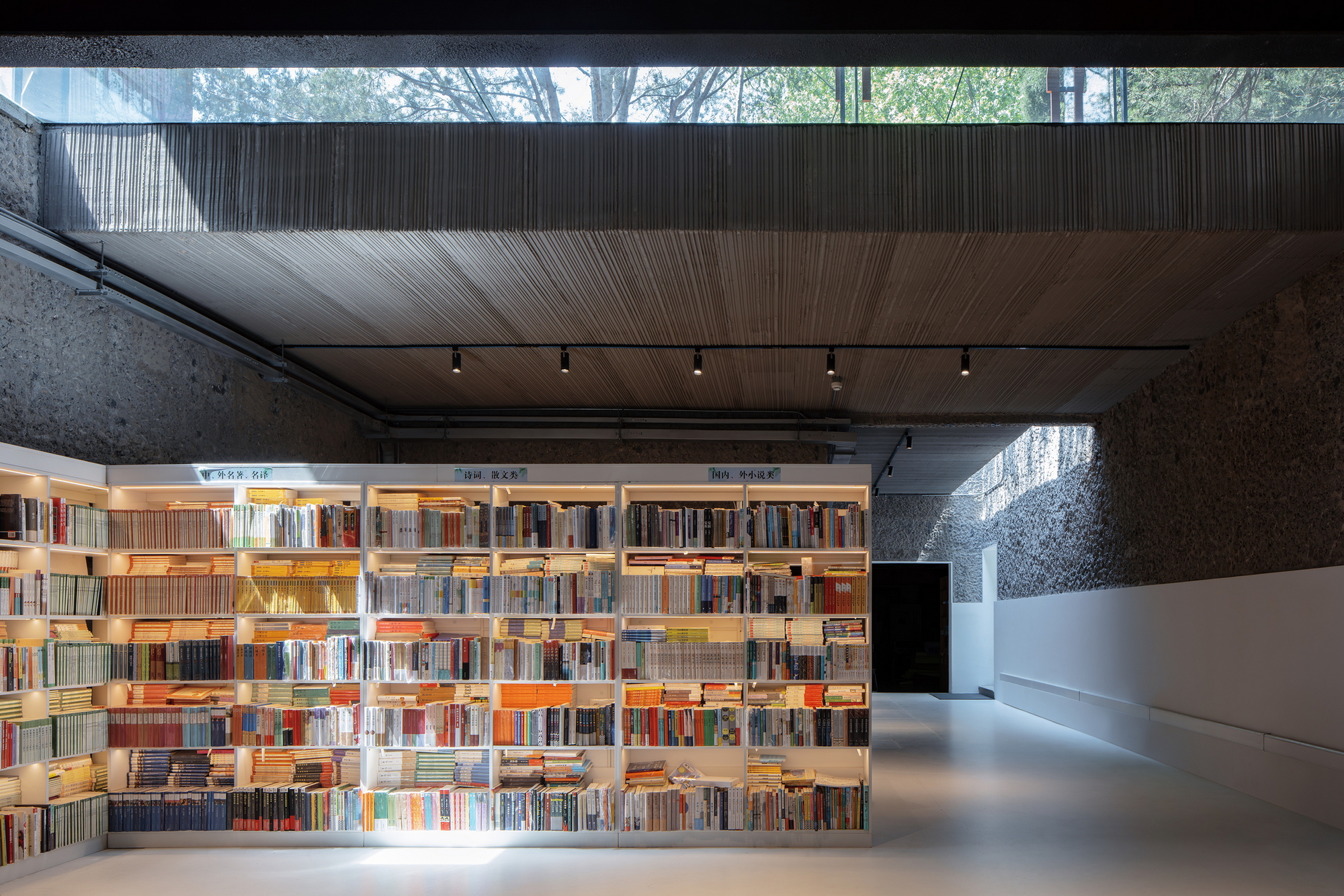 Illuminated bookshelf wall facing a clerestory window with views of tree canopy beyond