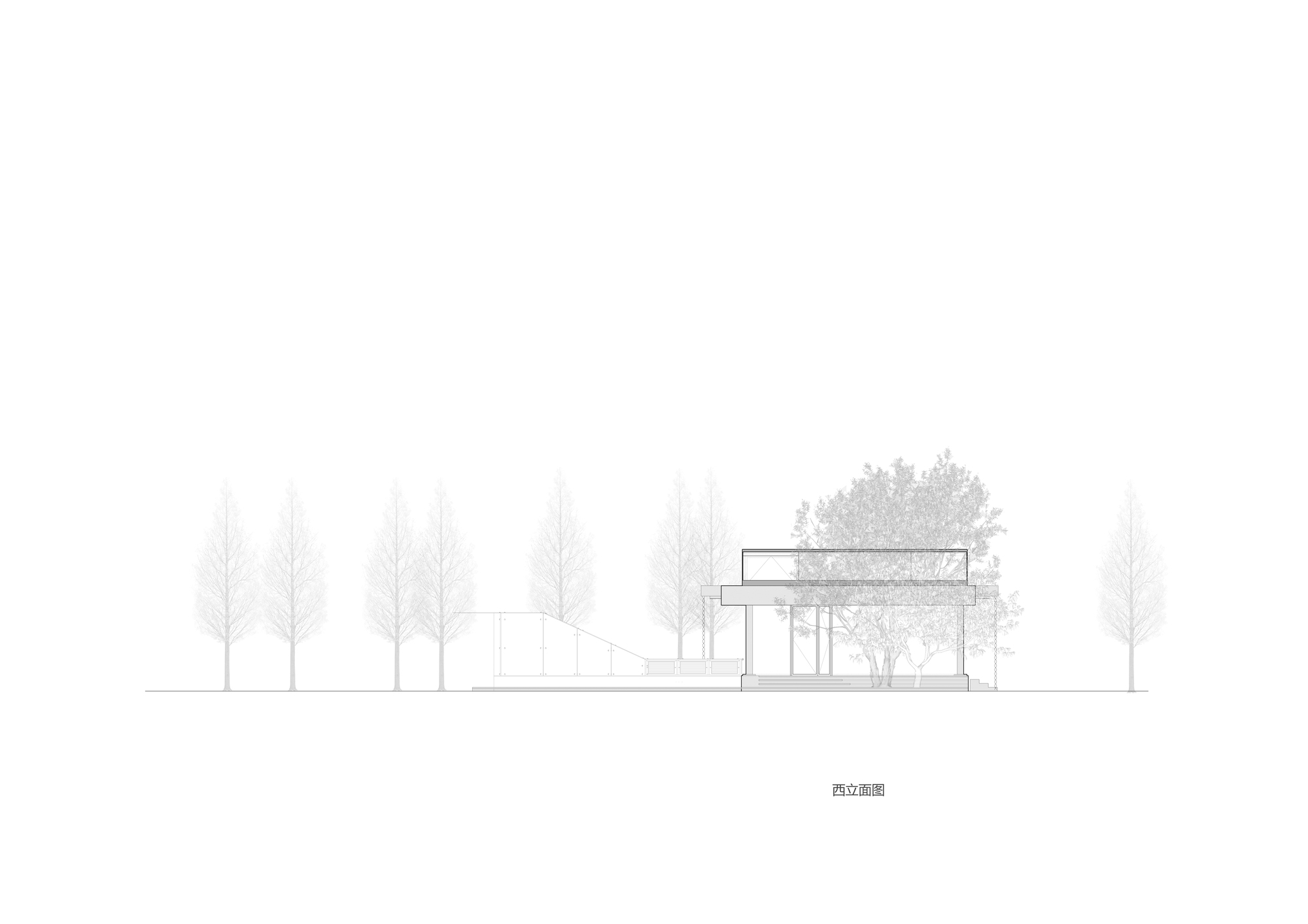 Elevation drawing showing single pavilion with clerestory roof and leafy tree canopy