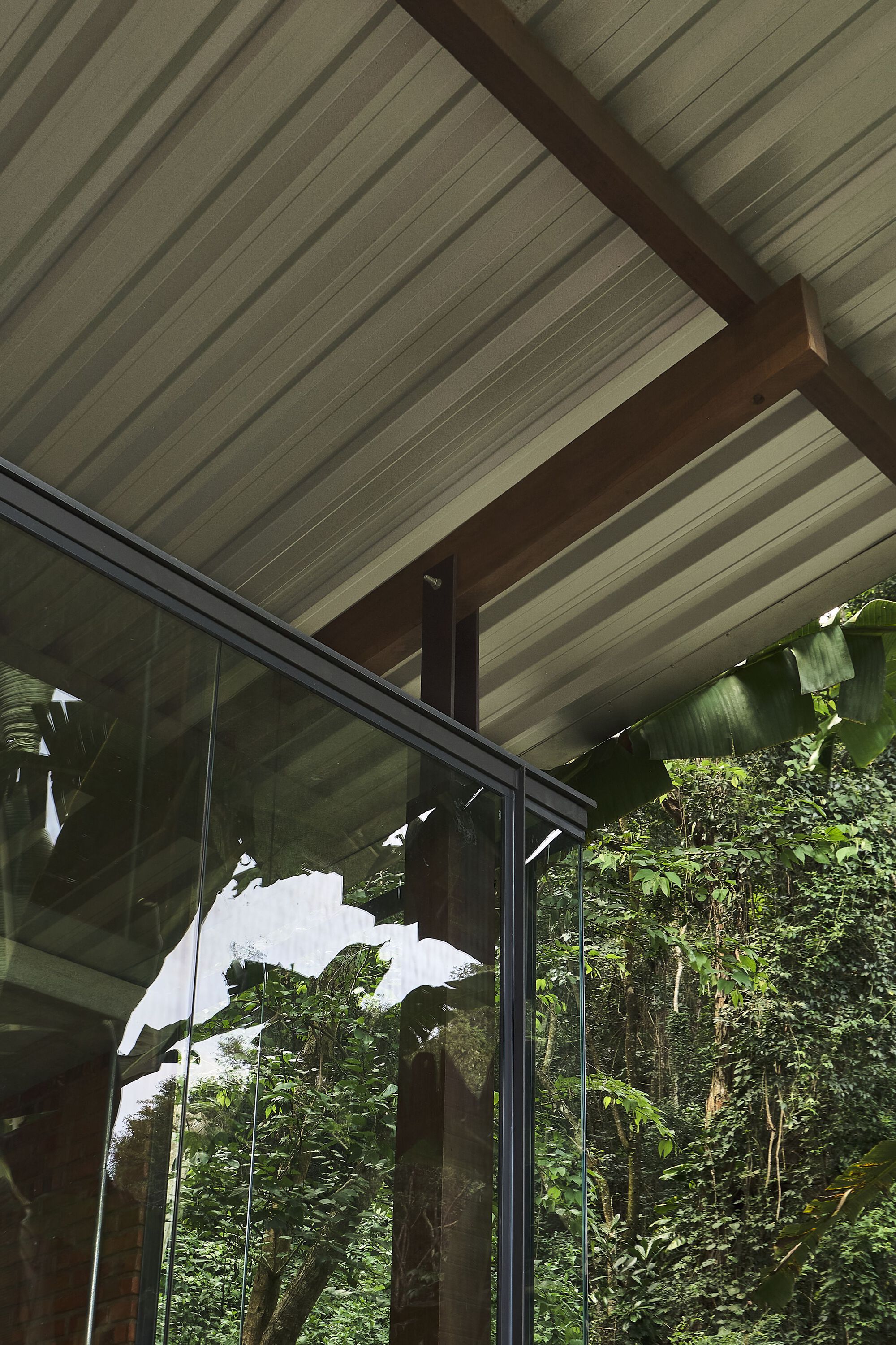 Interior view of the slatted wood ceiling with exposed timber beams beside floor-to-ceiling glazing and tropical vegetation