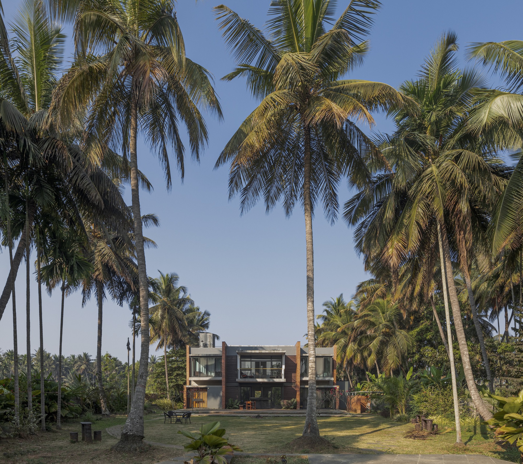Rear facade framed by towering coconut palms in late afternoon light