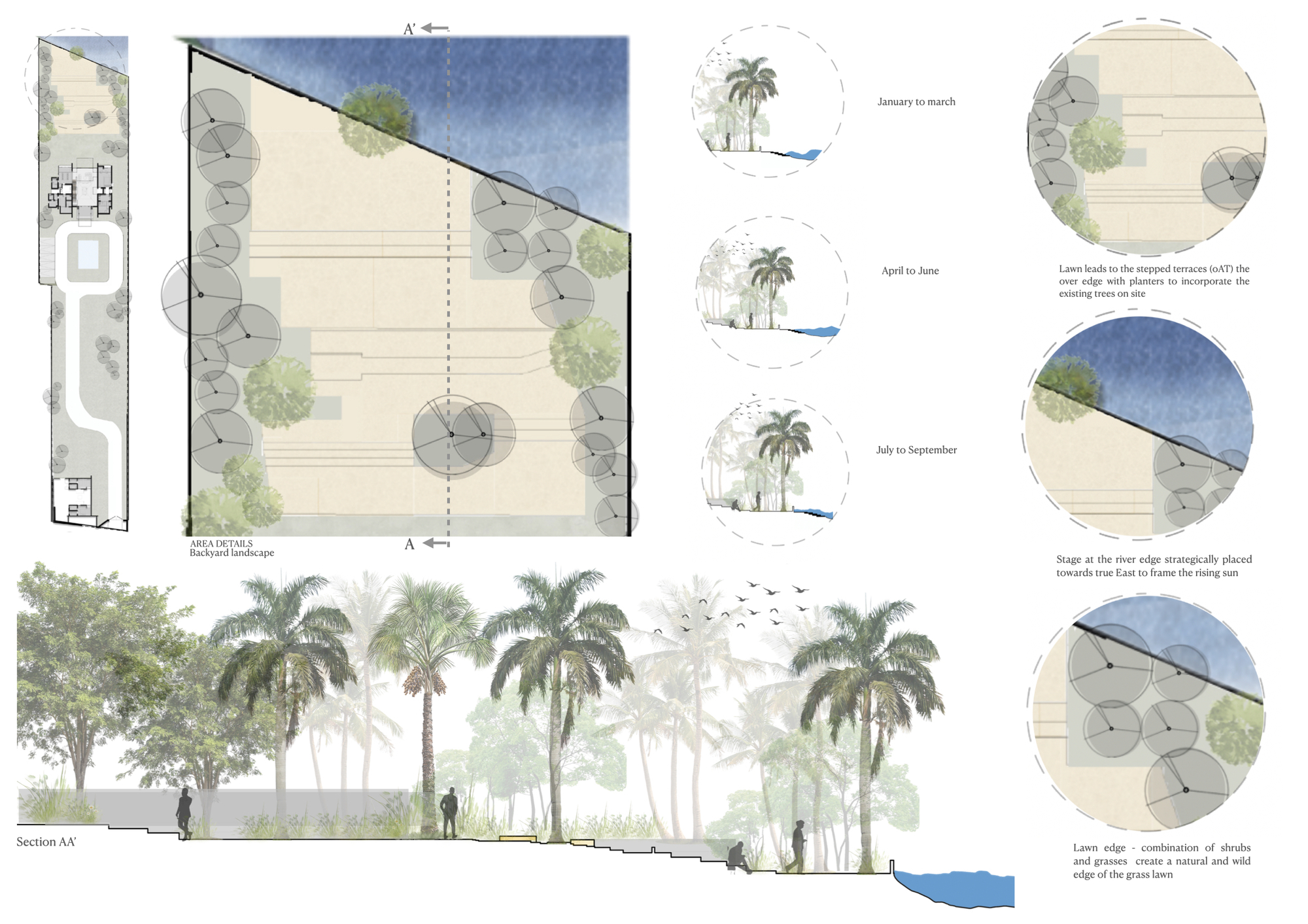 Landscape drawing showing site plan with palm trees and section with figures beneath the canopy