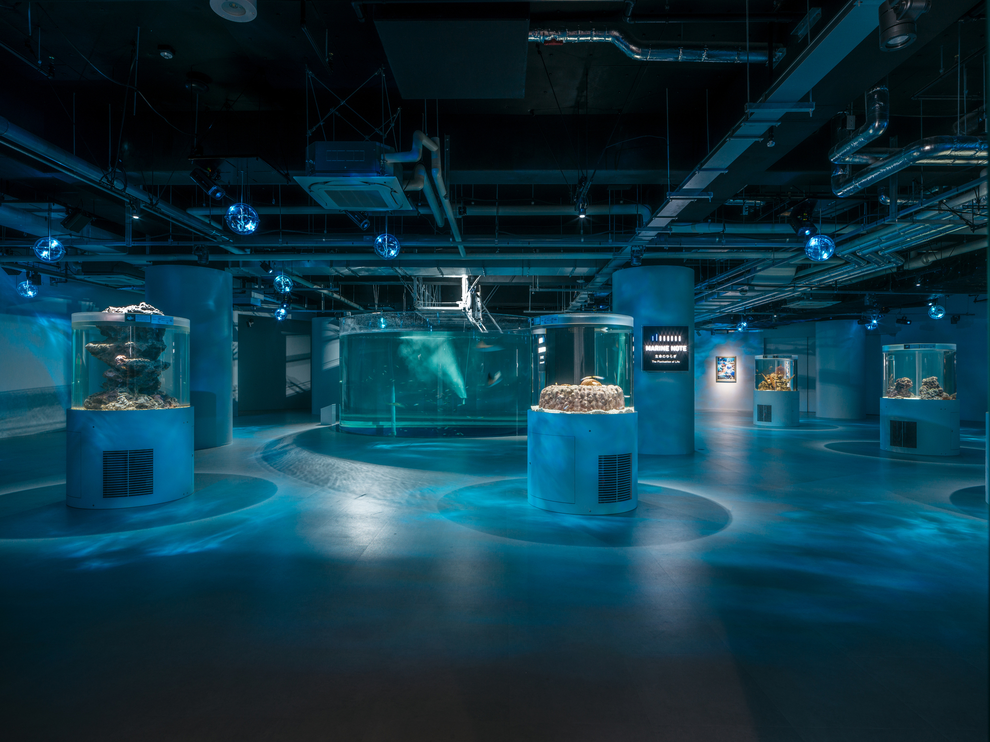 Interior exhibition space with cylindrical aquarium tanks under exposed mechanical ducts and blue lighting