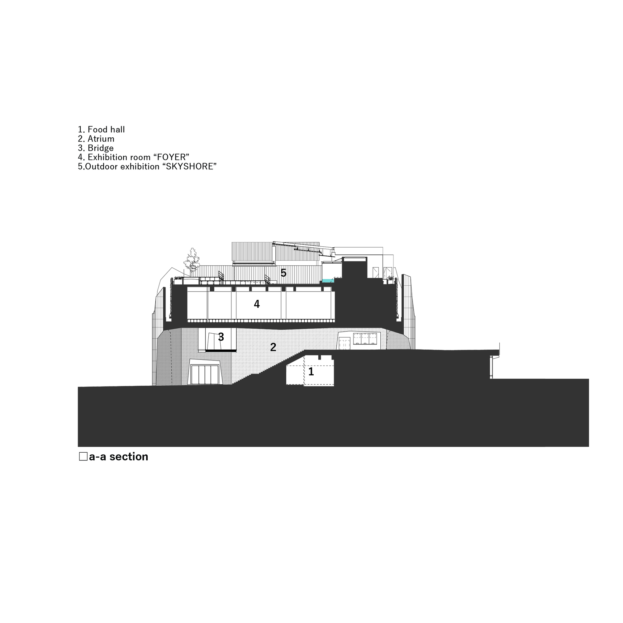 Section drawing showing a multi-level museum with food hall, atrium, bridge, and exhibition spaces